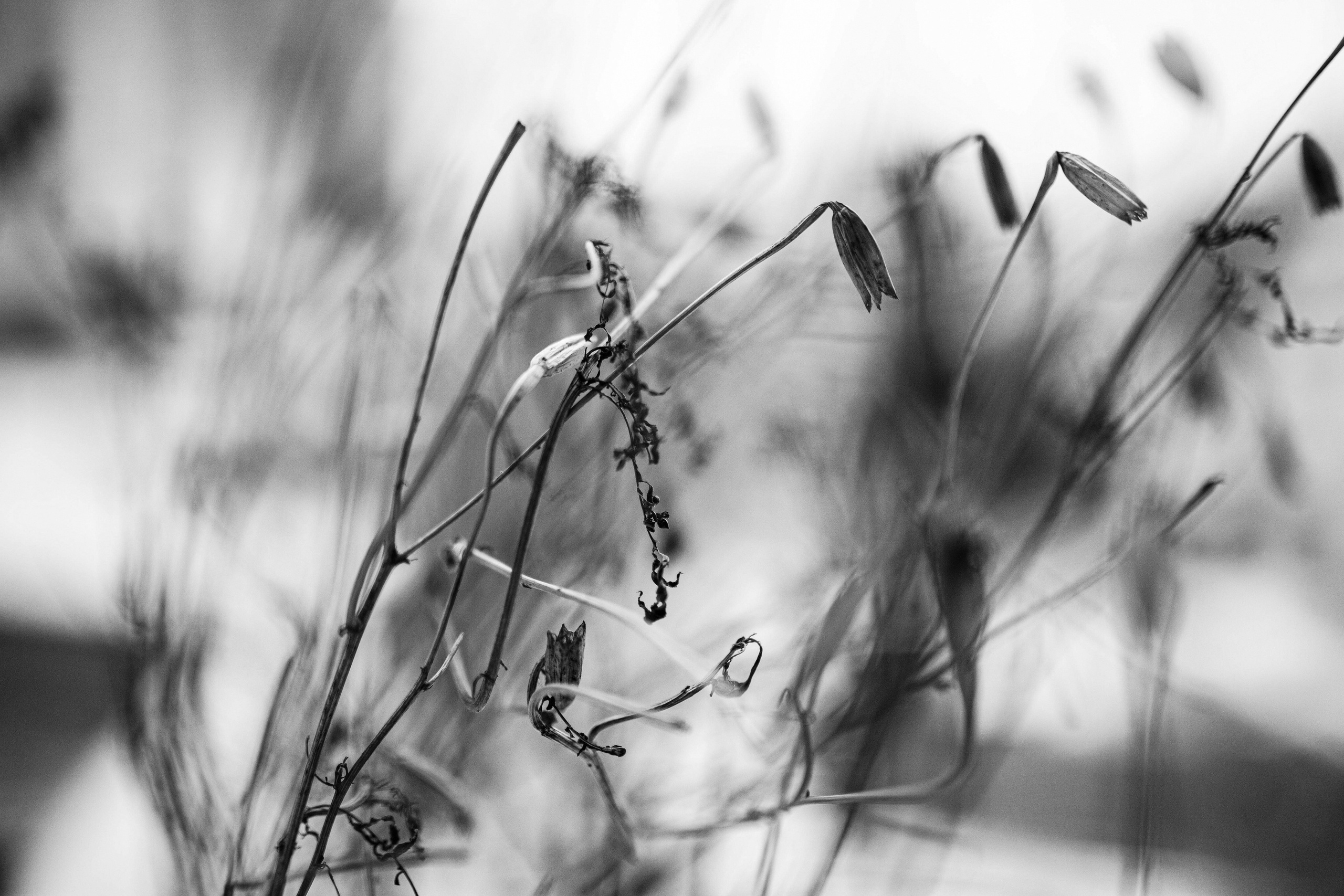 Зарисовки. Иван Ефремов фотограф в городе Владивостоке