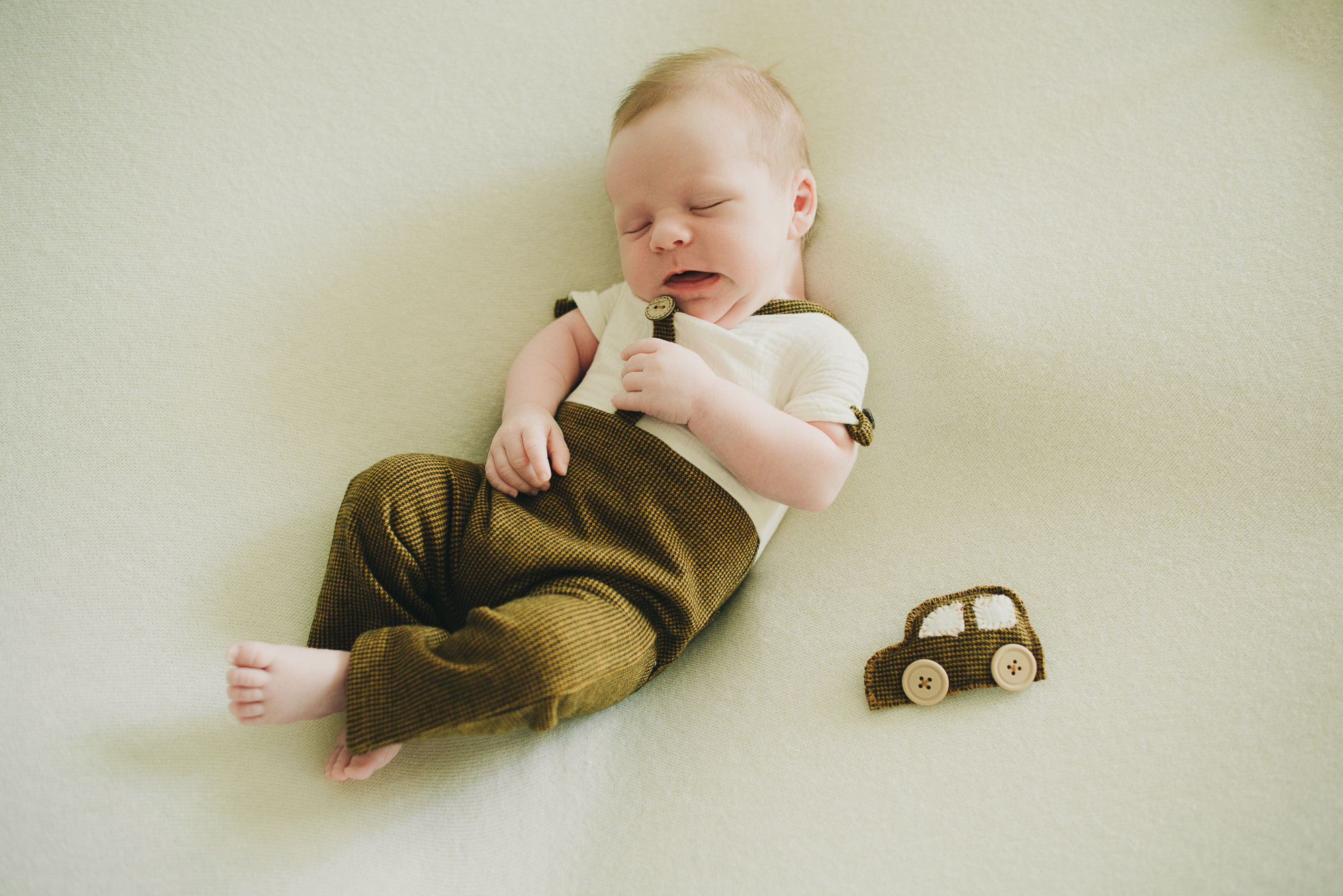 Лев. Фотограф в Москве новорожденные свадьбы семьи Дарья Ларионова