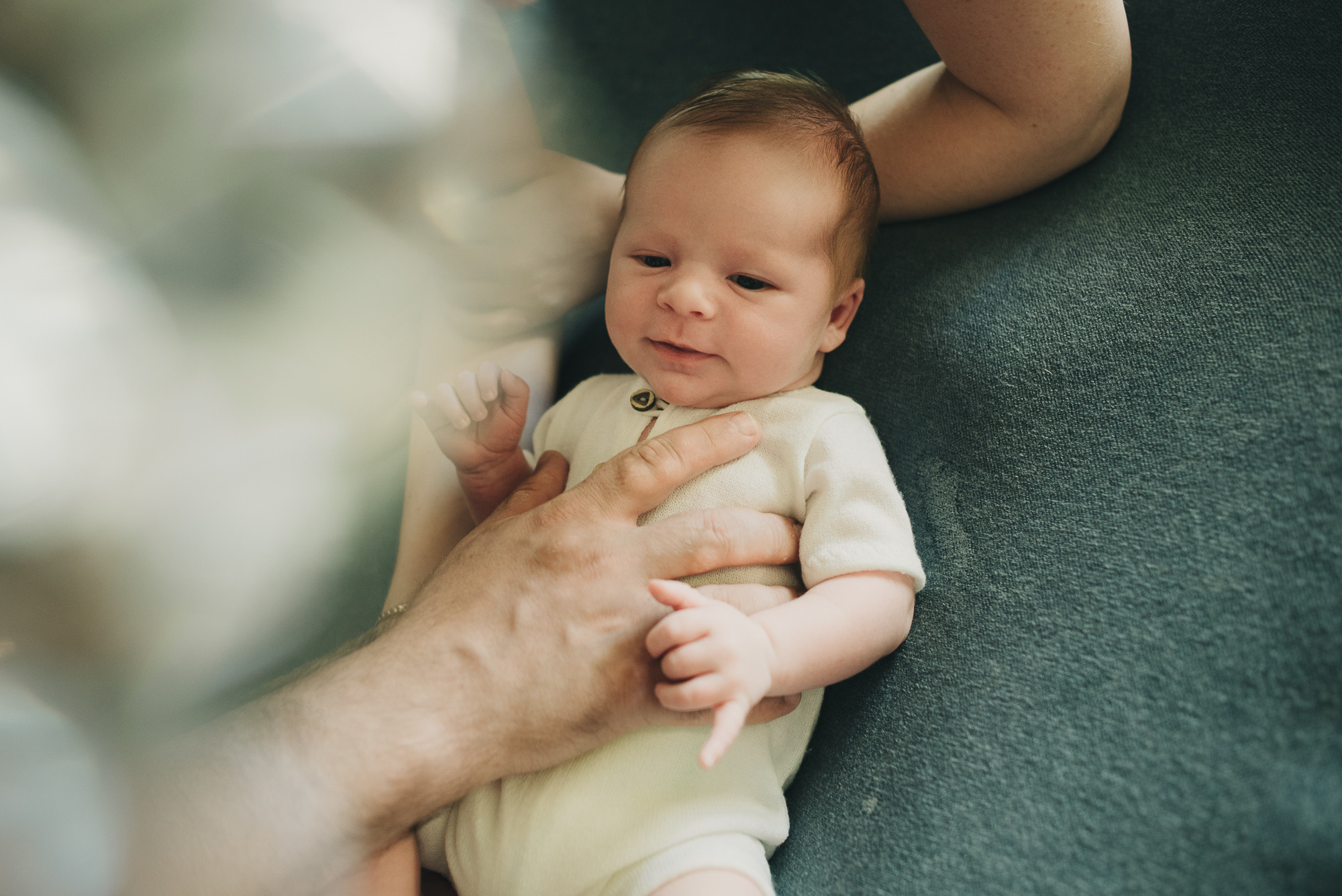 Лев. Фотограф в Москве новорожденные свадьбы семьи Дарья Ларионова