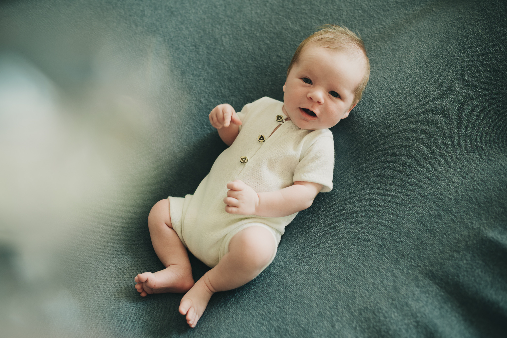 Лев. Фотограф в Москве новорожденные свадьбы семьи Дарья Ларионова