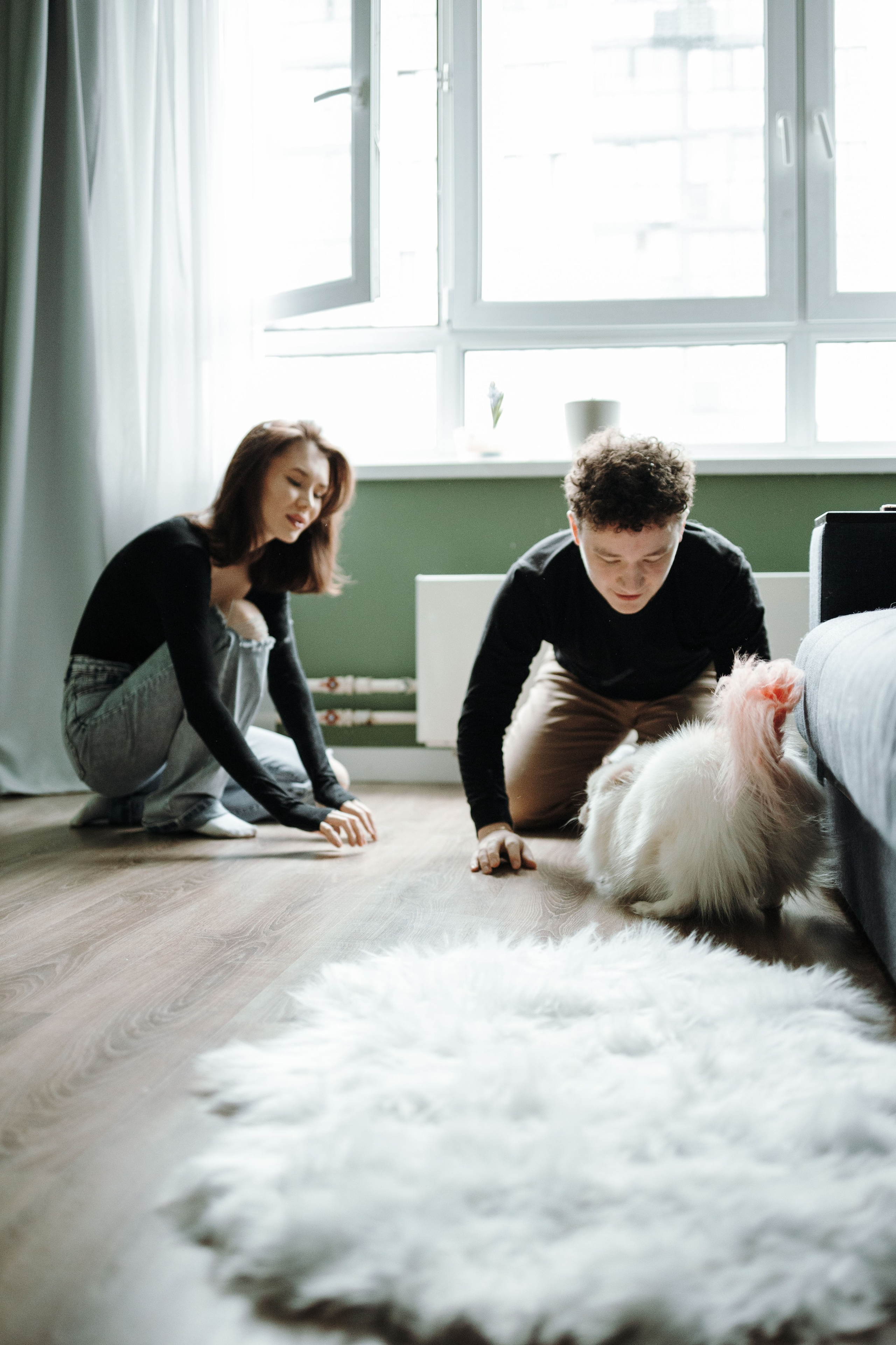 Шпиц Мася и ее семья