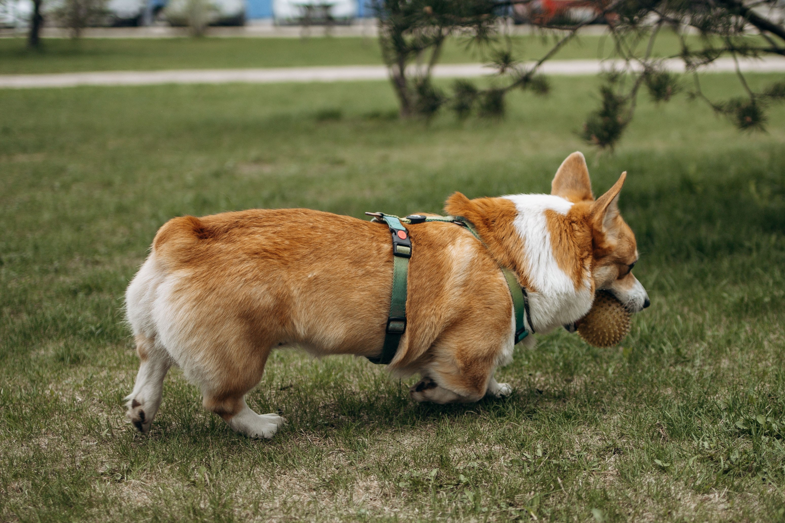 Екатерина и Альфи