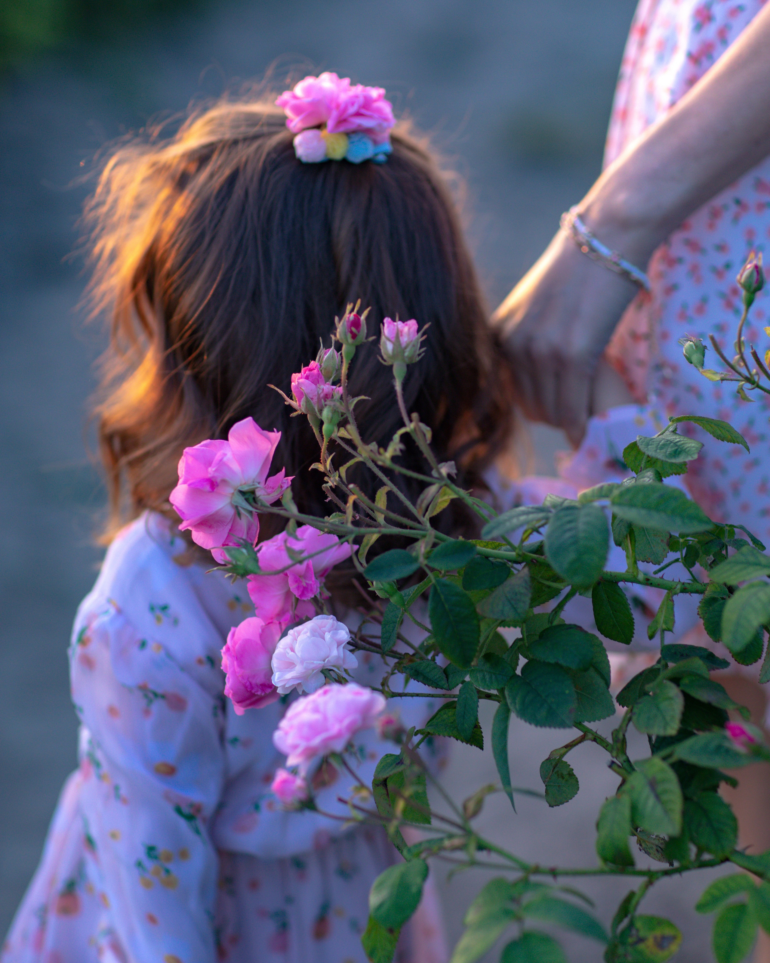 Портфолио. Фотограф Севастополь/Крым Светлана Евтушенко
