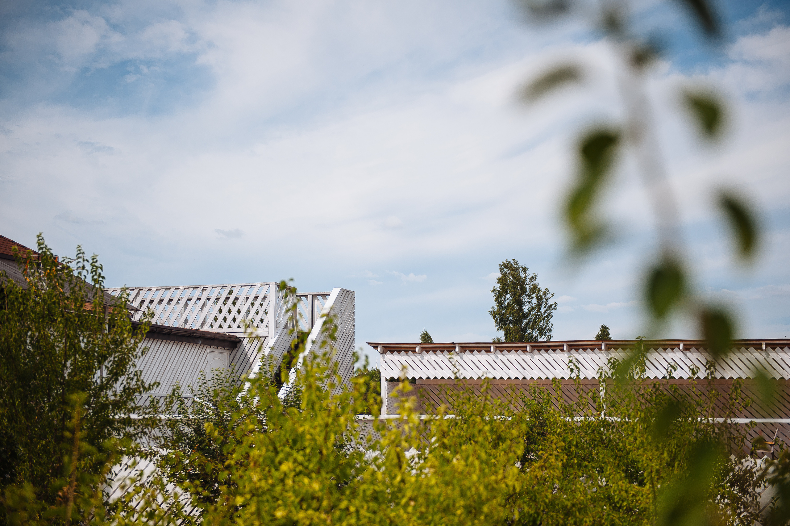 Свадьба Александра и Варвары