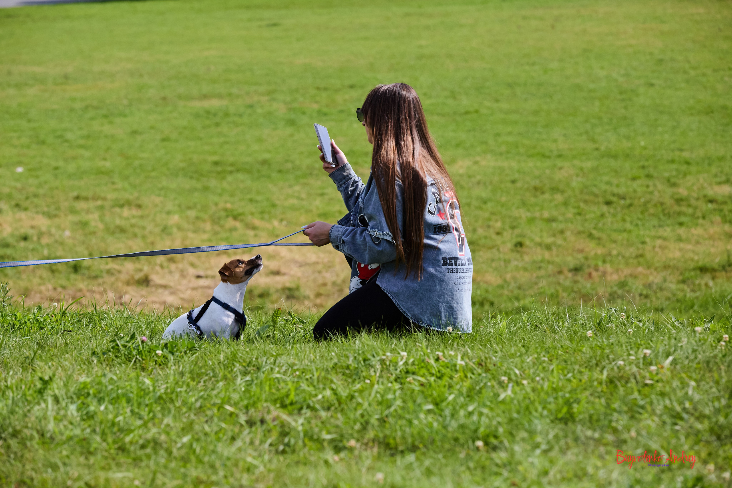 Проект фотопрогулка с хвостиком. Buyvolenko Andrey