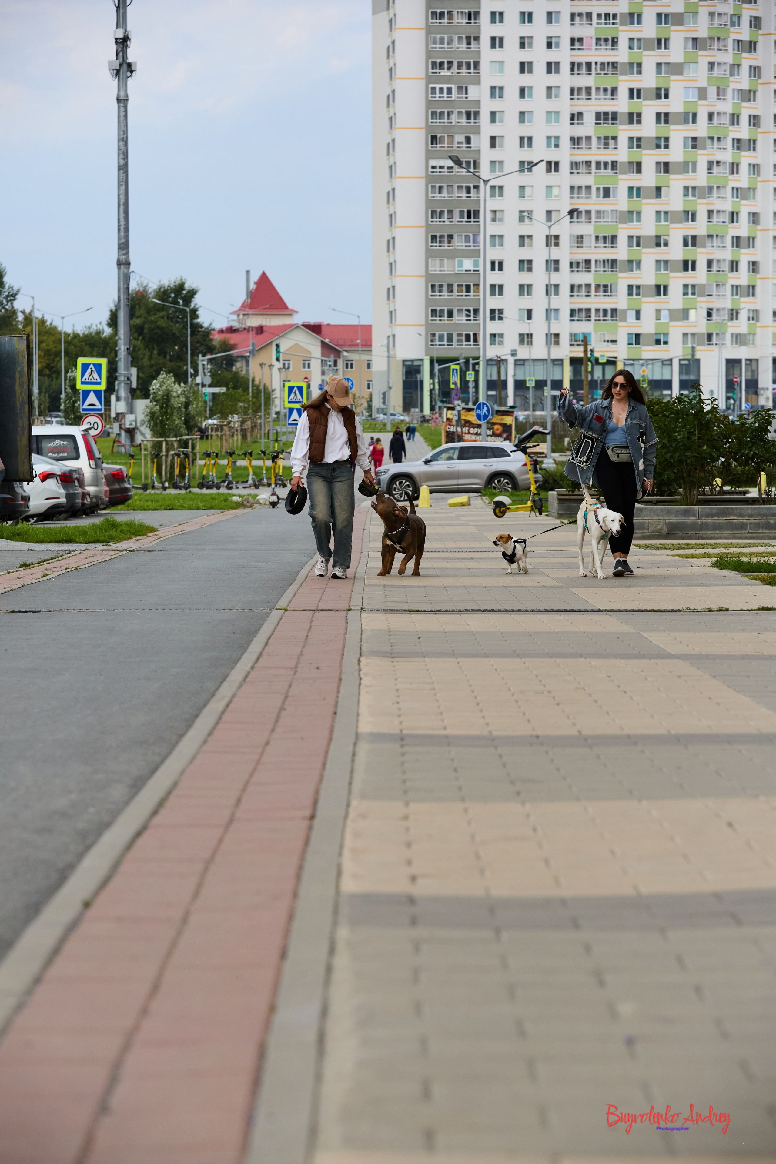 Проект фотопрогулка с хвостиком. Buyvolenko Andrey