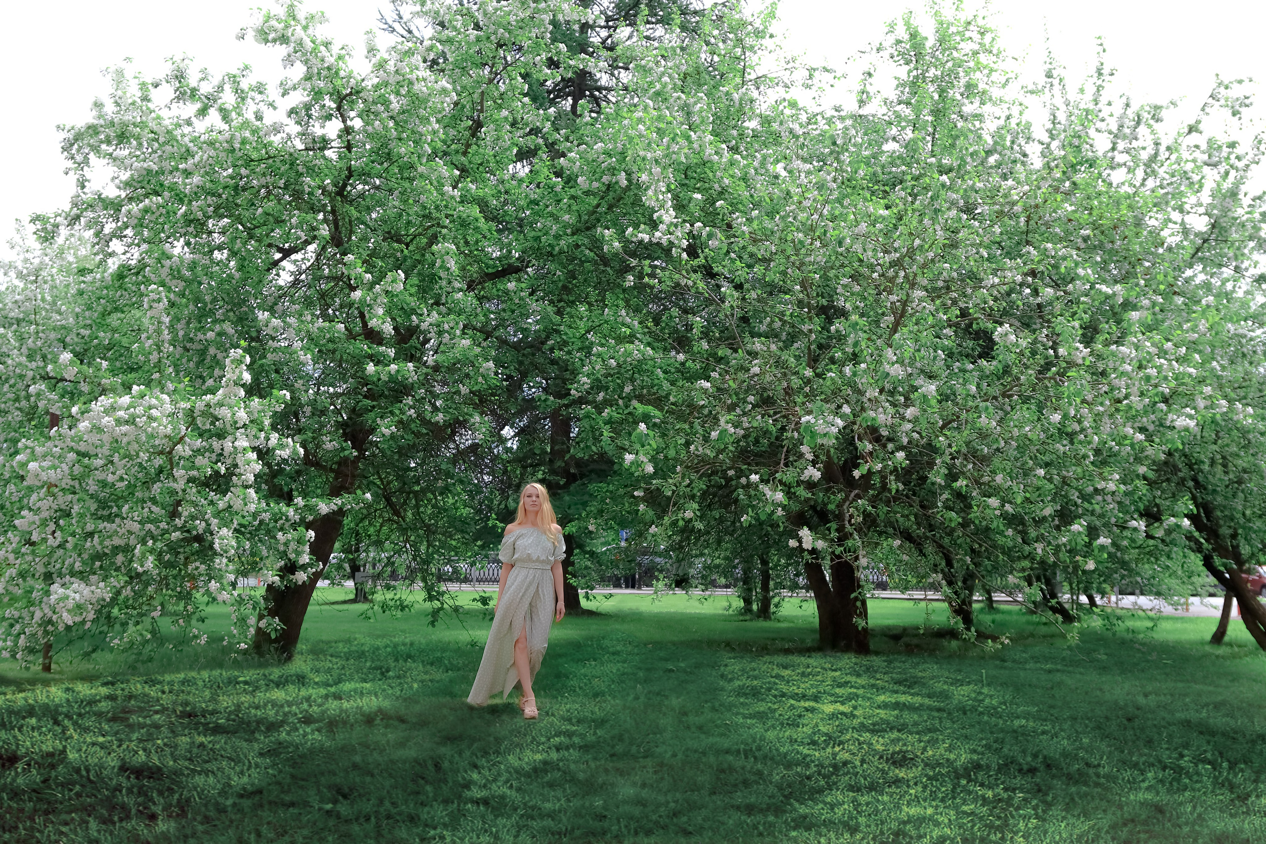Любовь и цветущая яблоня. Портретный и пейзажный фотограф Никита Павлов