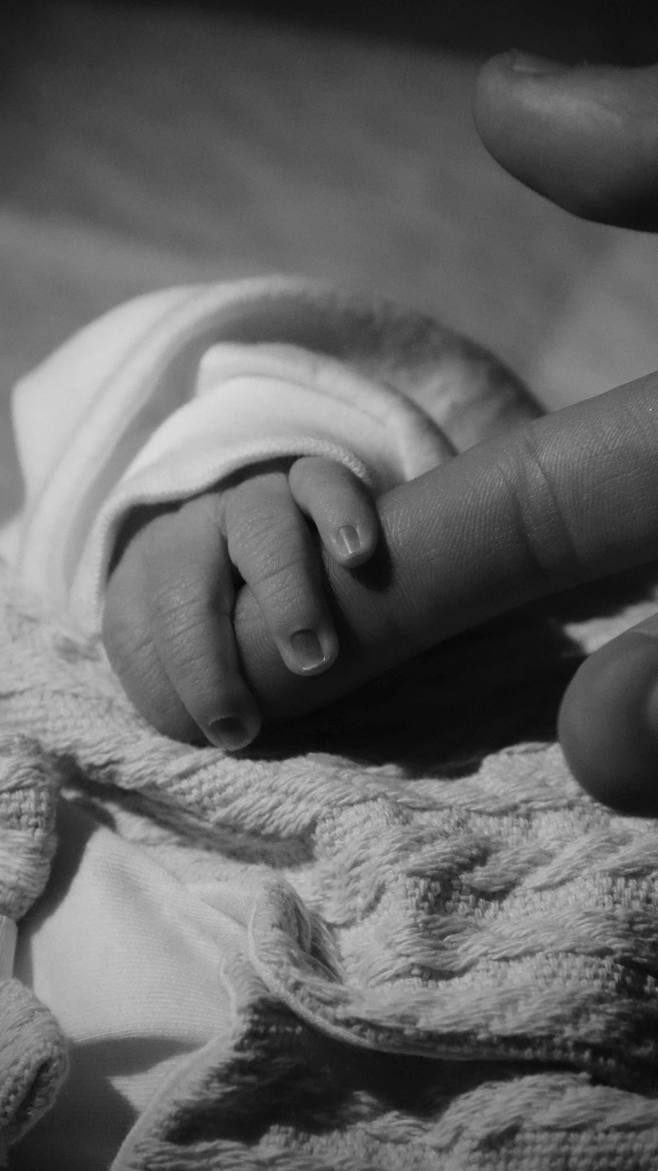 Фотограф Никита Зеленков в Санкт-Петербурге