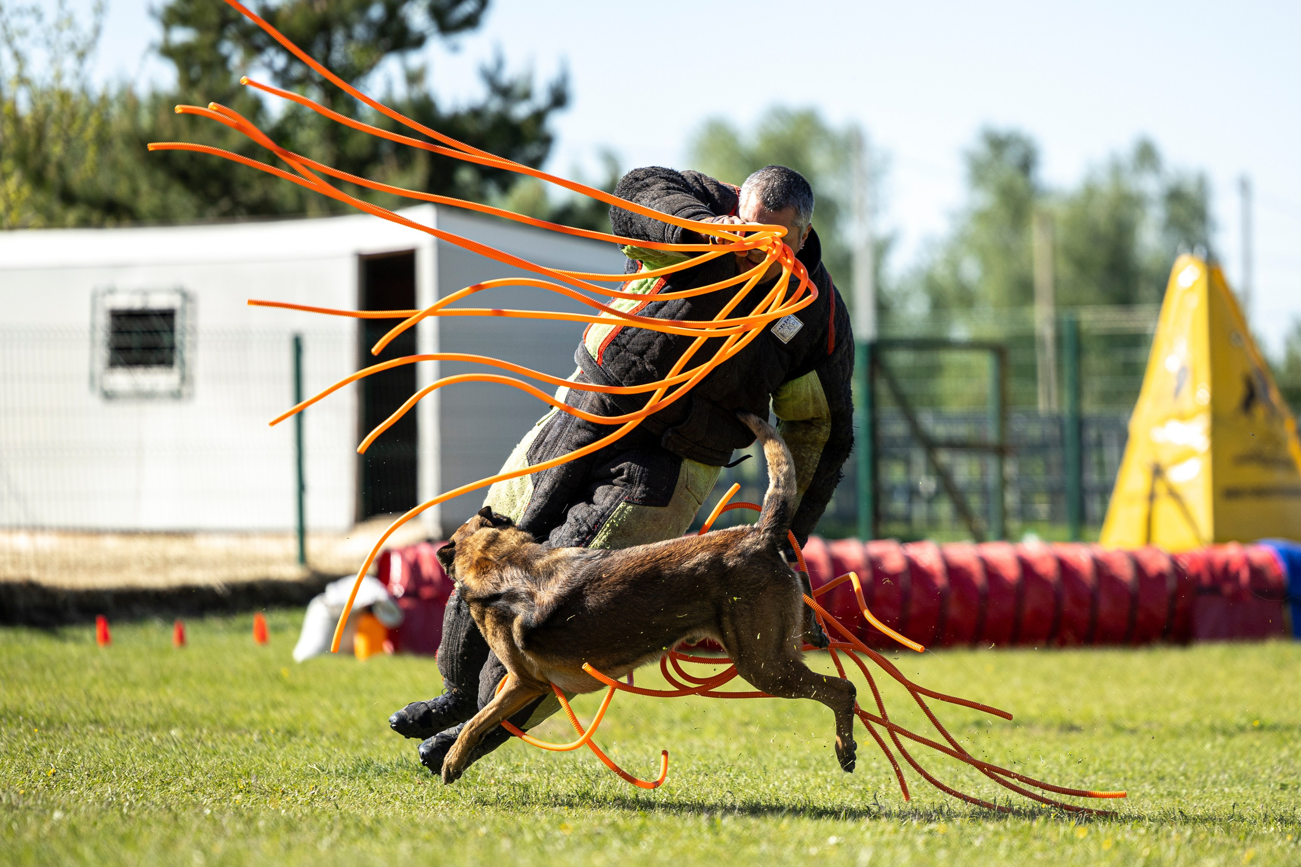 Испытания по мондьорингу в Нижнем Новгороде. Фотограф-анималист Анна Маринич