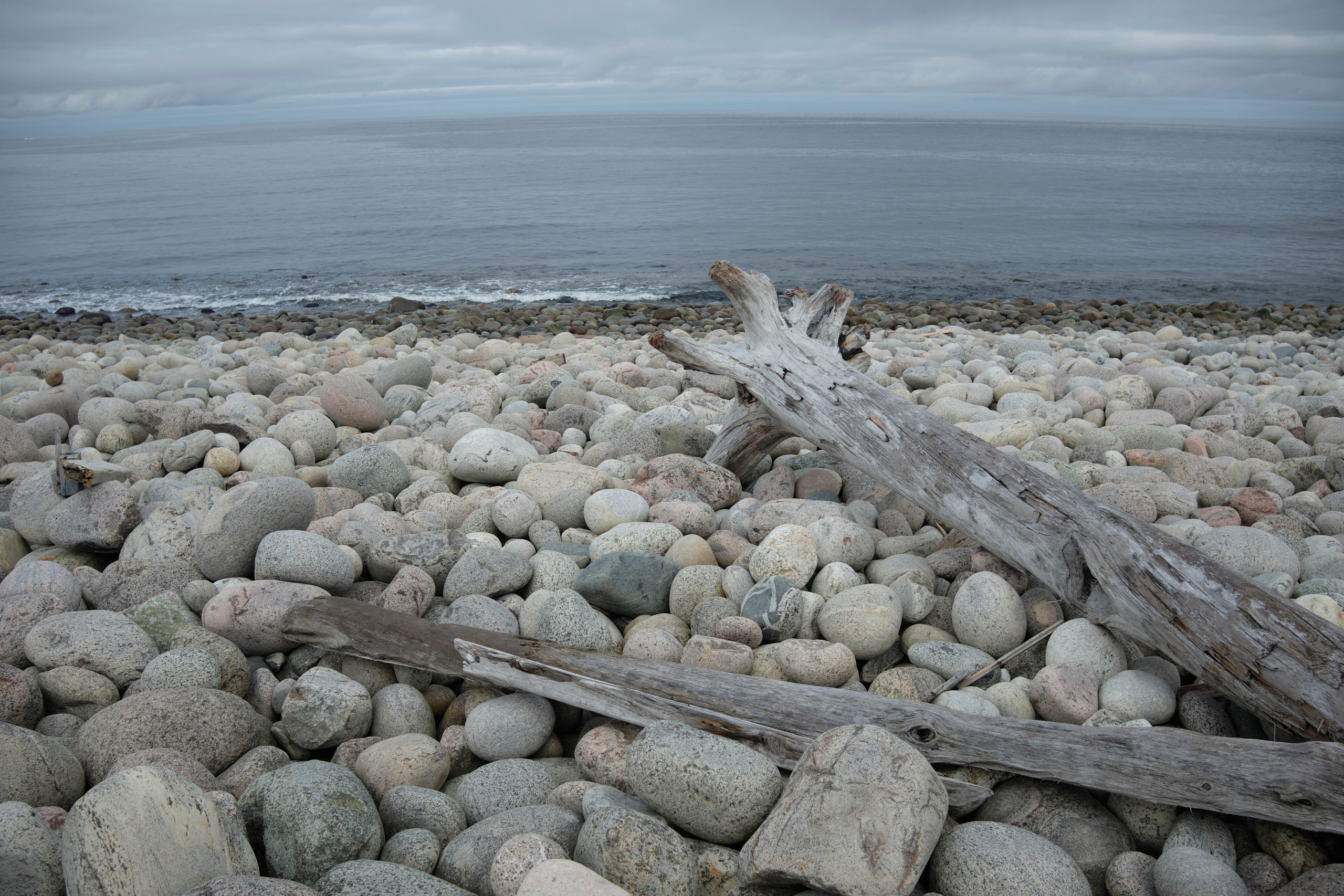 Путешествие в Териберку. Елена Павленко. Фотограф. Москва