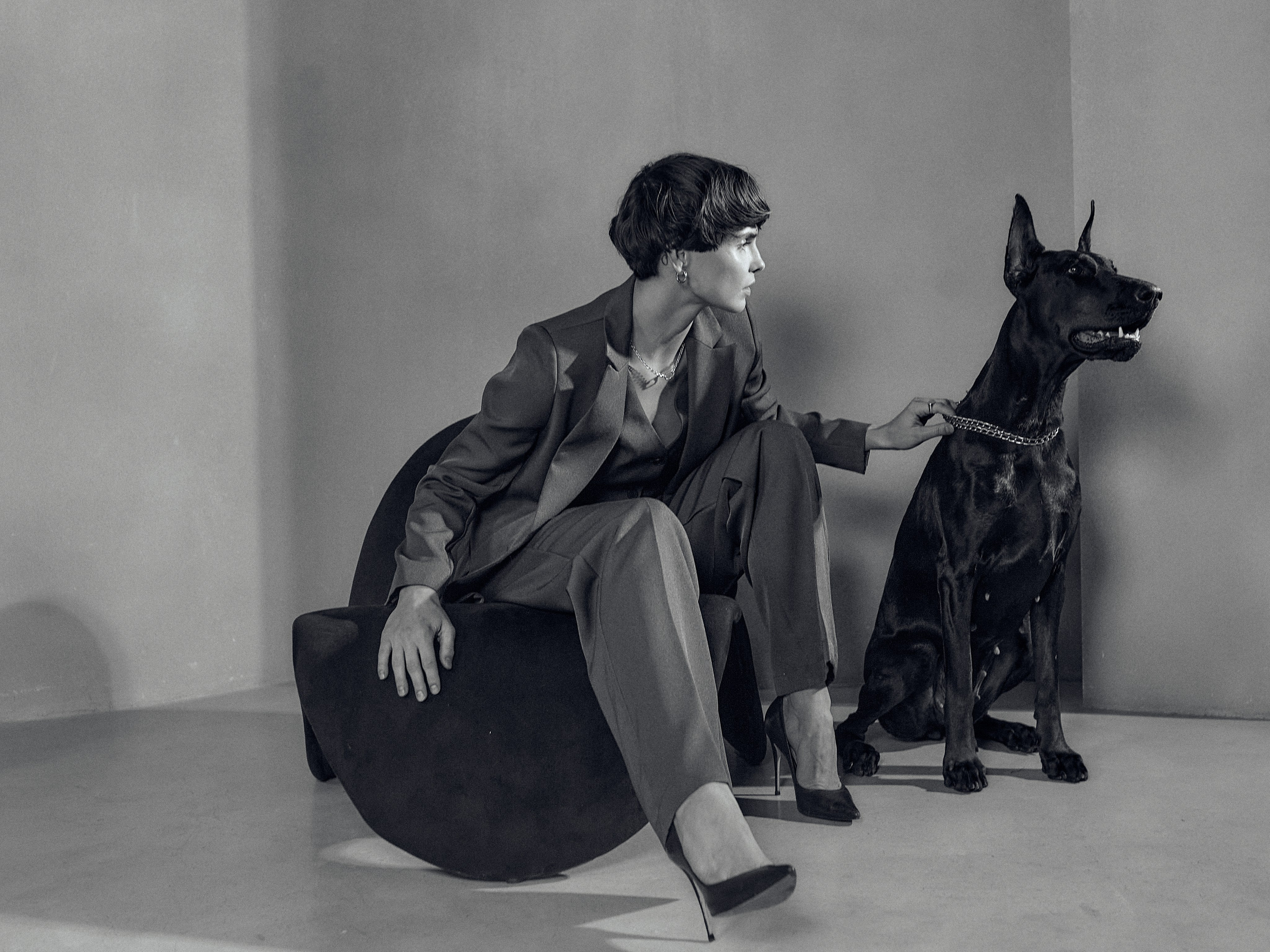 Mist доберман. Photorina — фотограф Ирина Гулемина