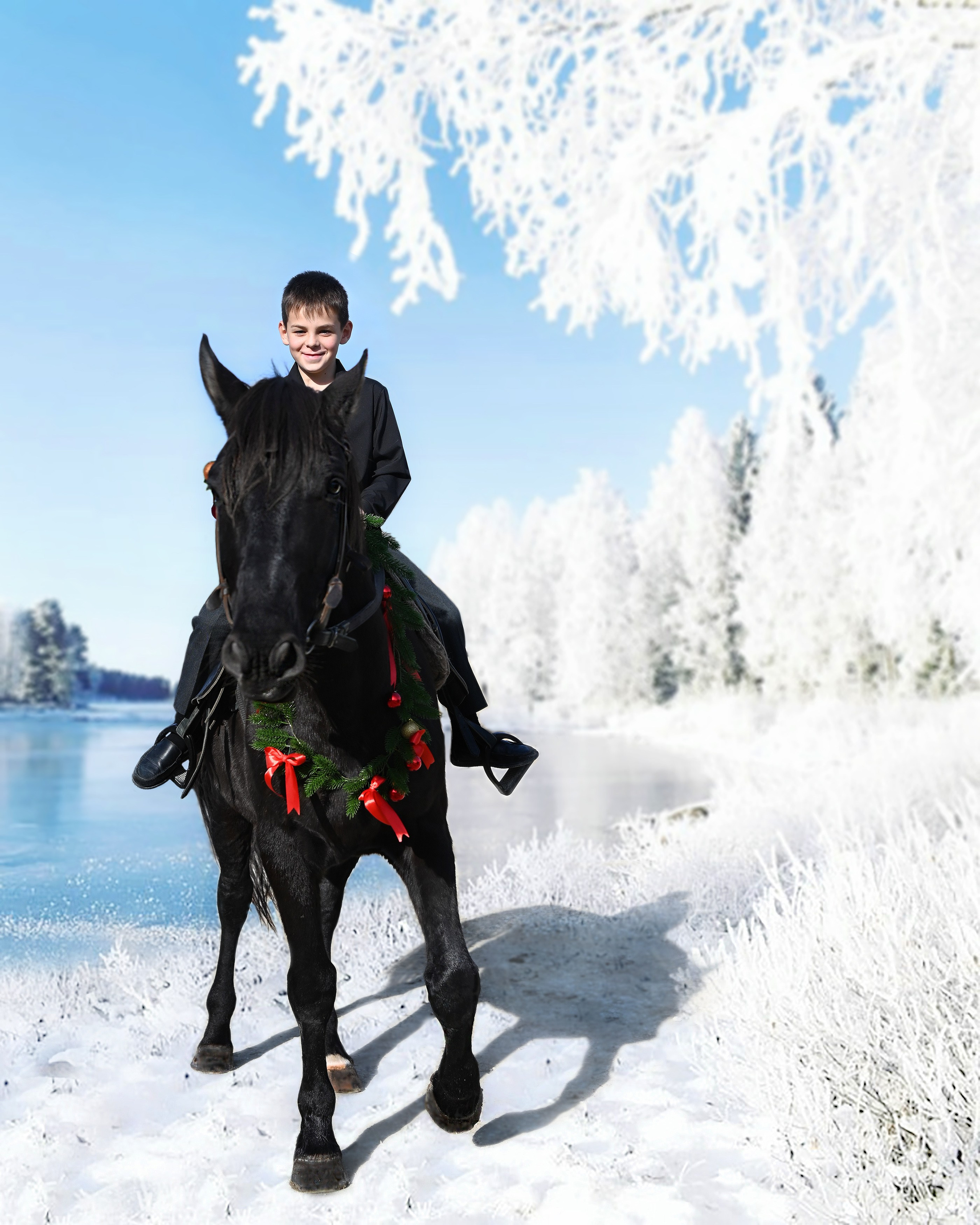 Лошади. Главная