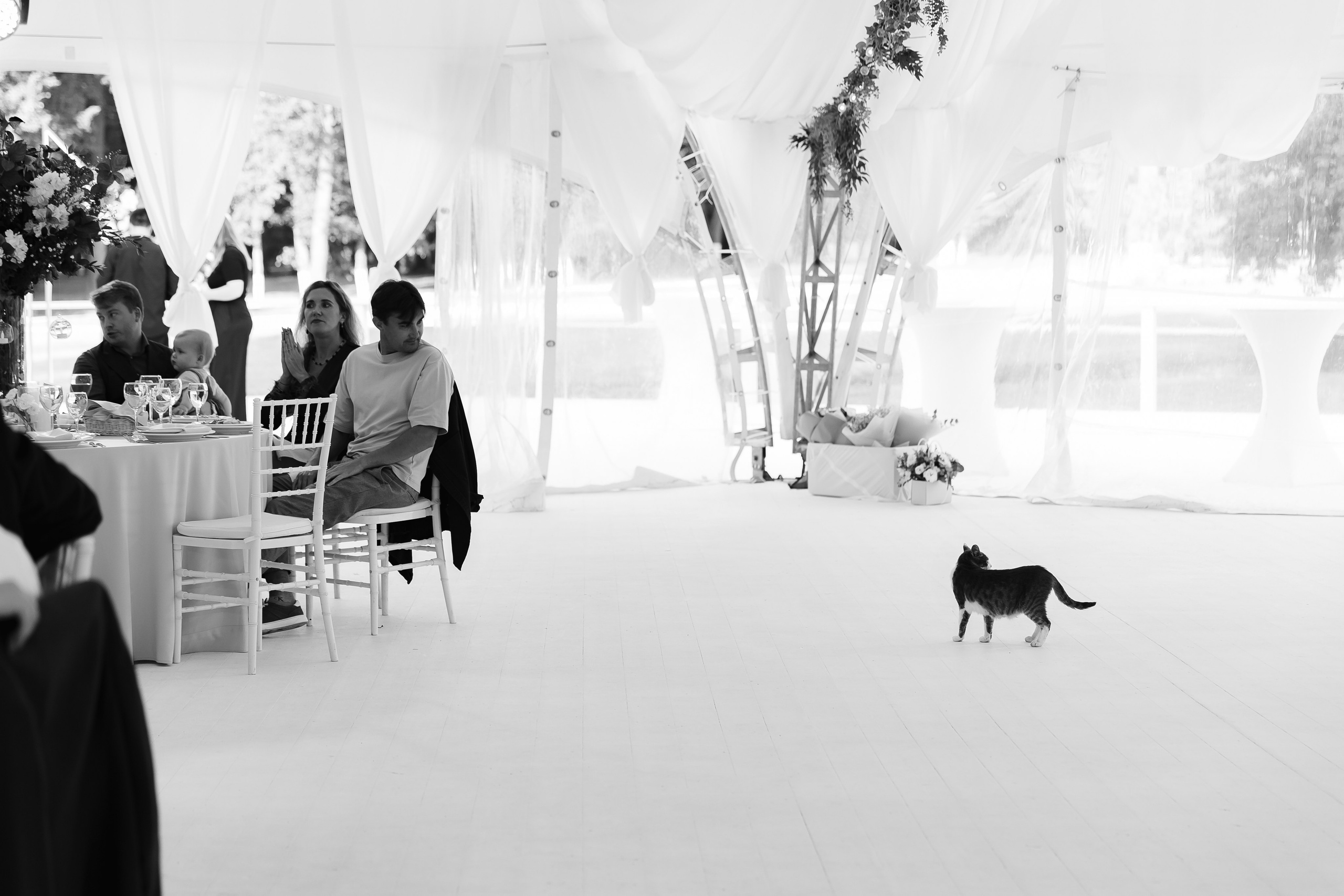 31.08.2024. RETOUCH-HOUSE