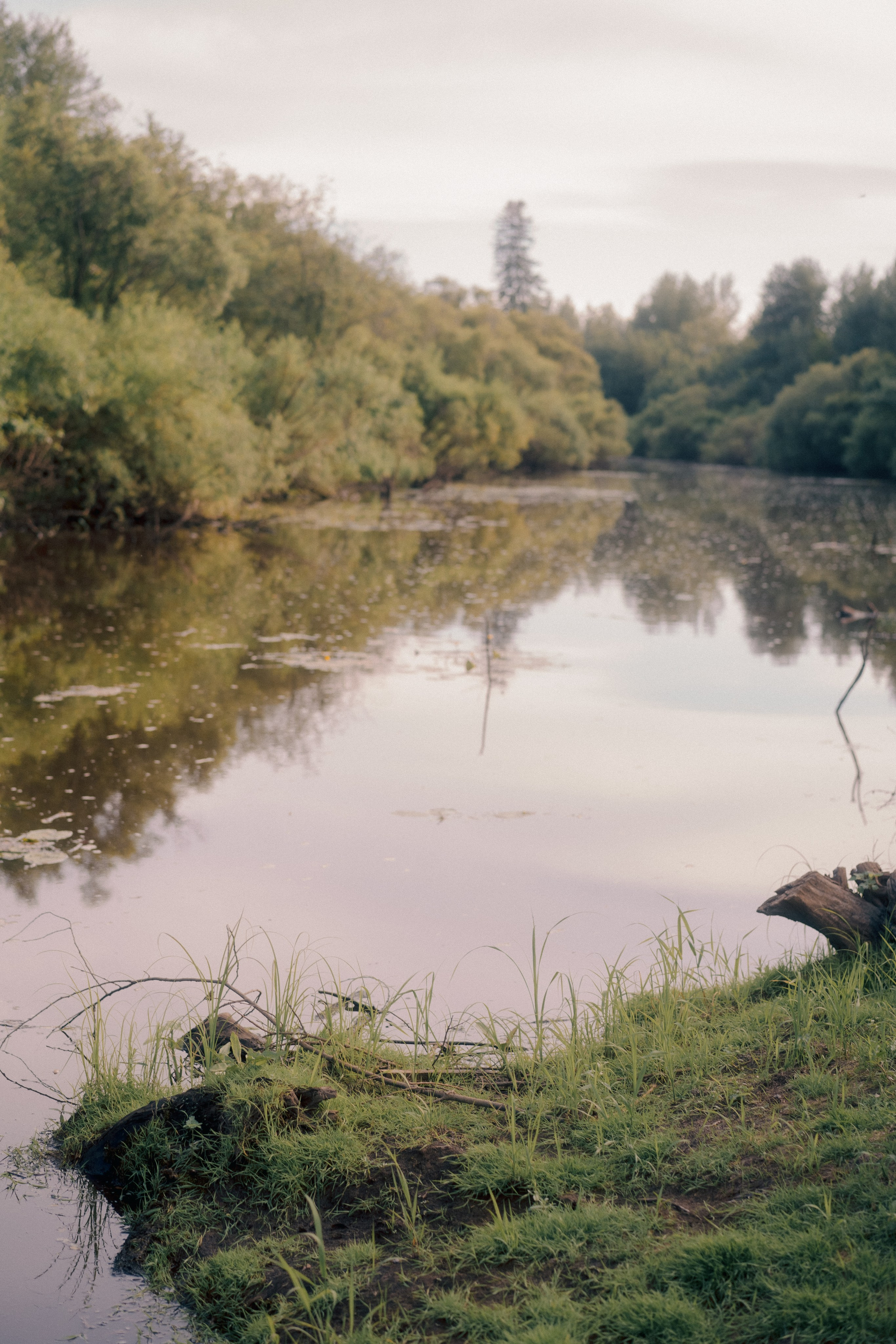 Деревня Петрово (Томская область). Veronika Popadeikina Photographer