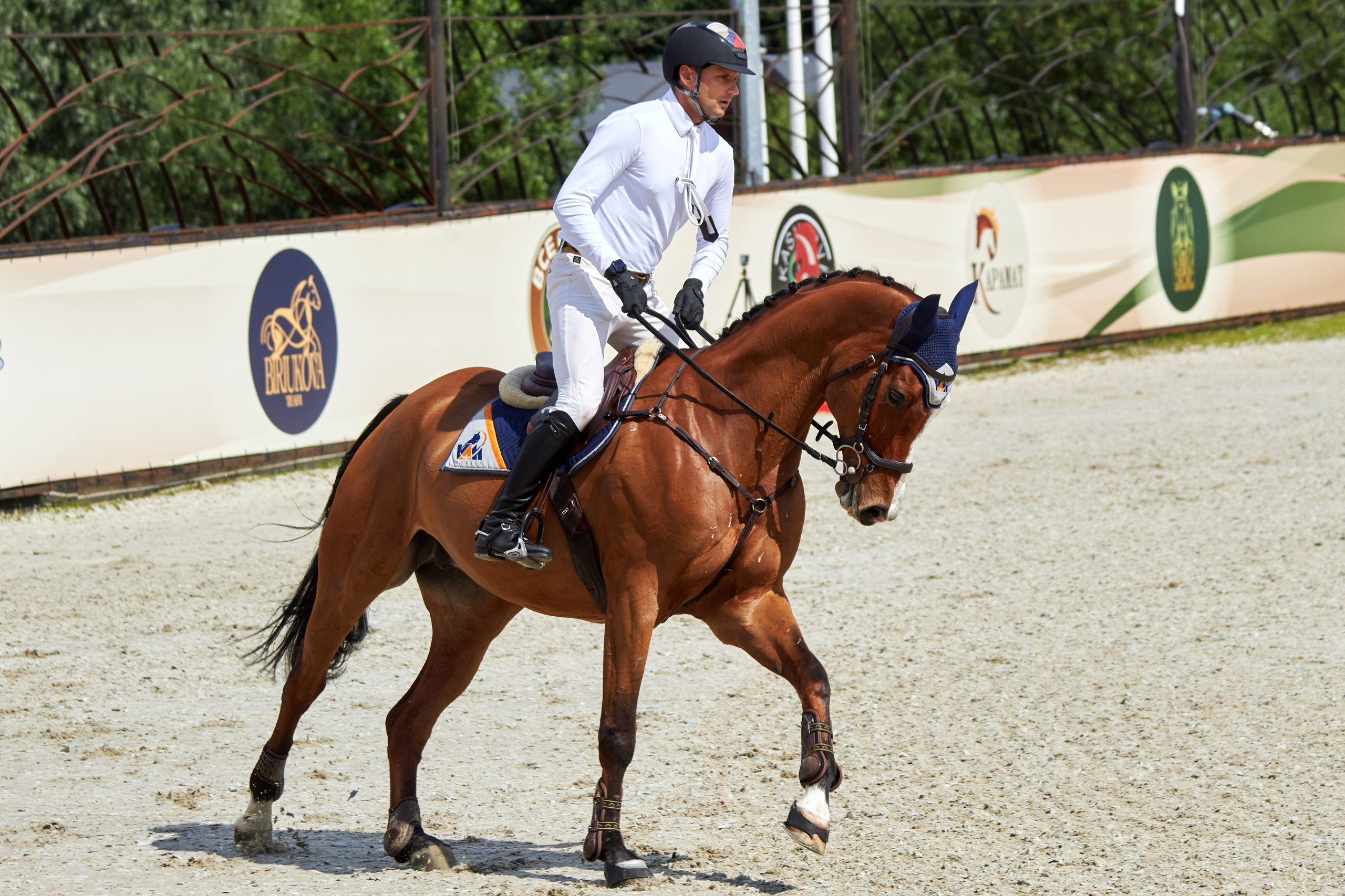 Конкур в «Виват, Россия». Фотограф анималист — Тула, Москва