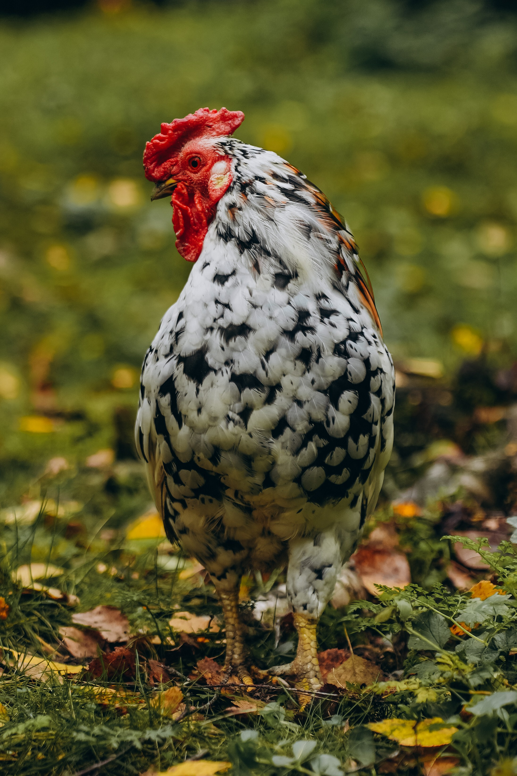 СЕВЕР. Event фотограф Степанова Александра