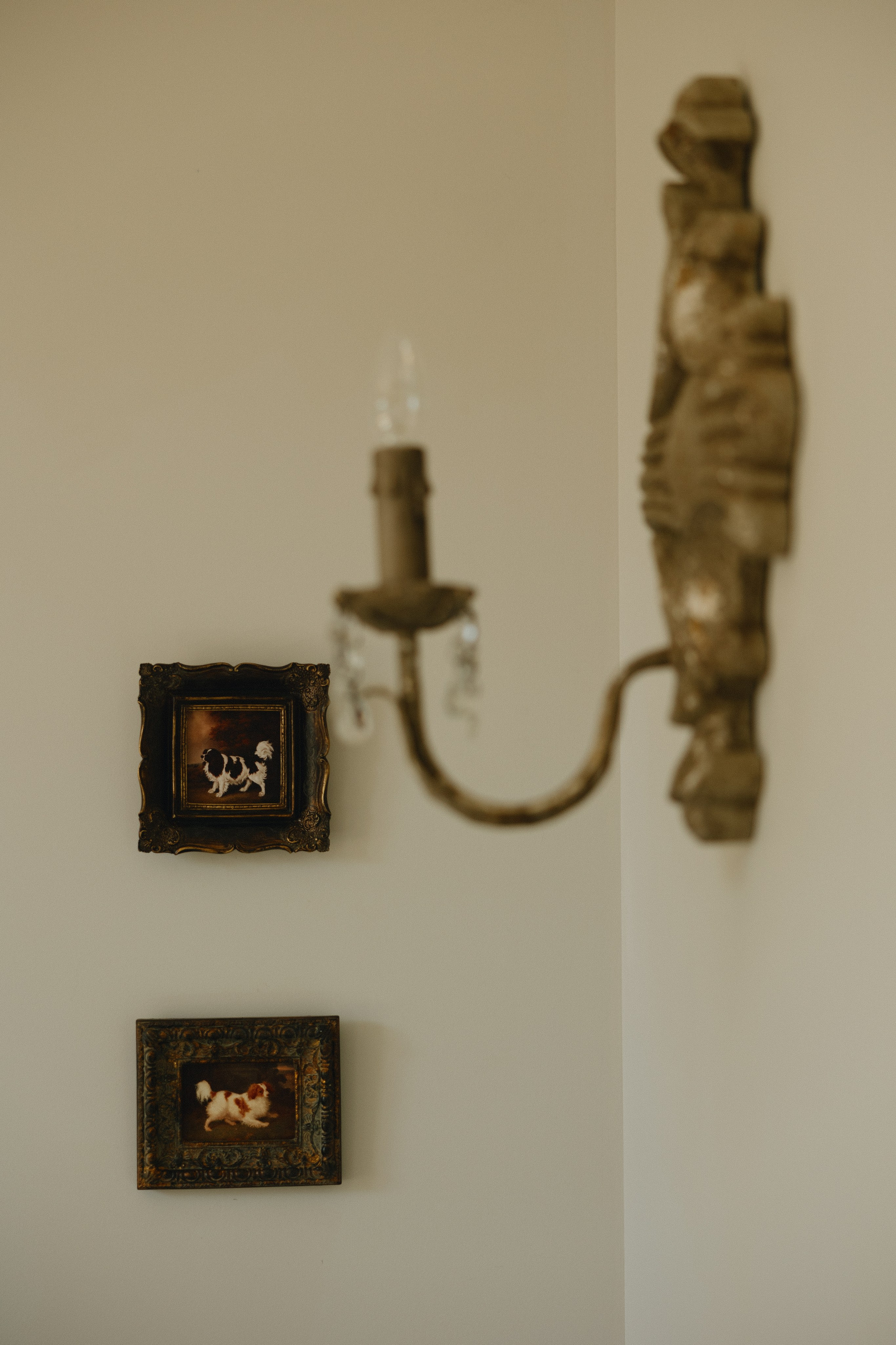 Под открытым небом / 2025. Фотограф СПб