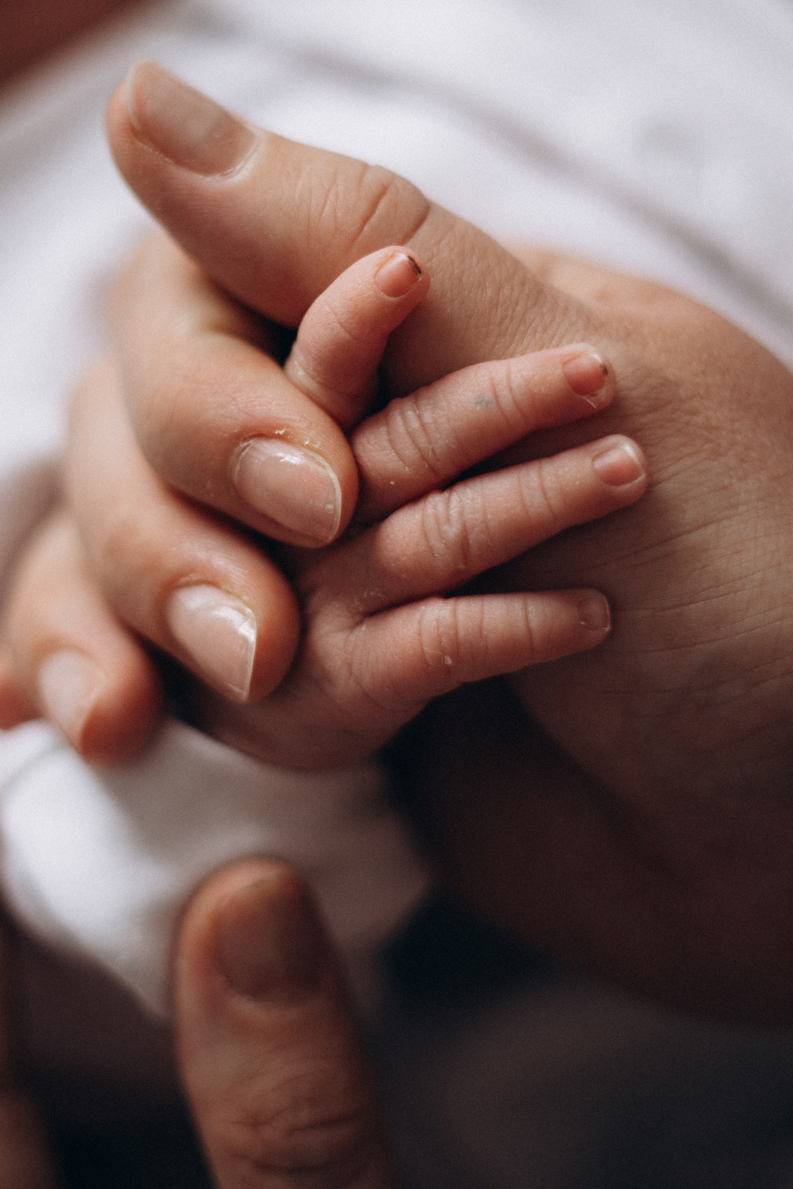 «Между мамой и мной». Главная