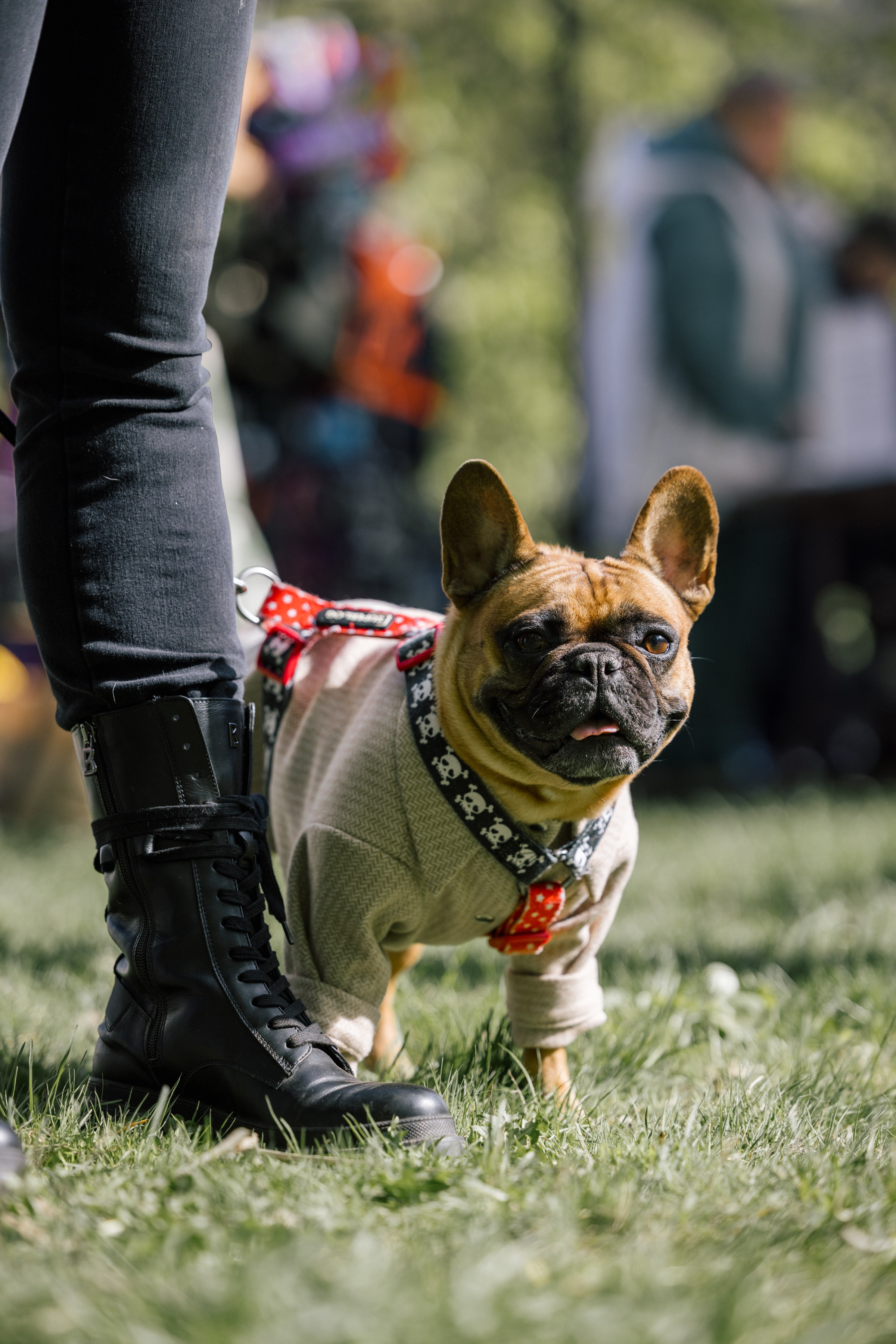 Хвостатый репортаж. Аксана Лисовская фотограф в Москве. Фотографии с характером