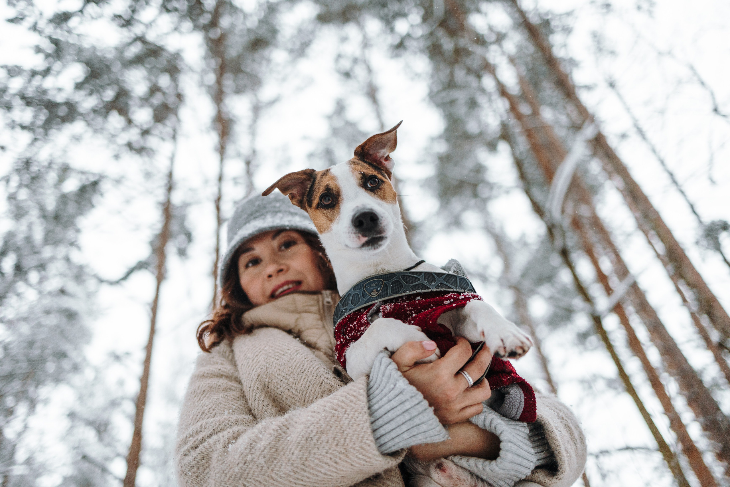 Мики и его семья. Фотограф — Анималист | Санкт-Петербург