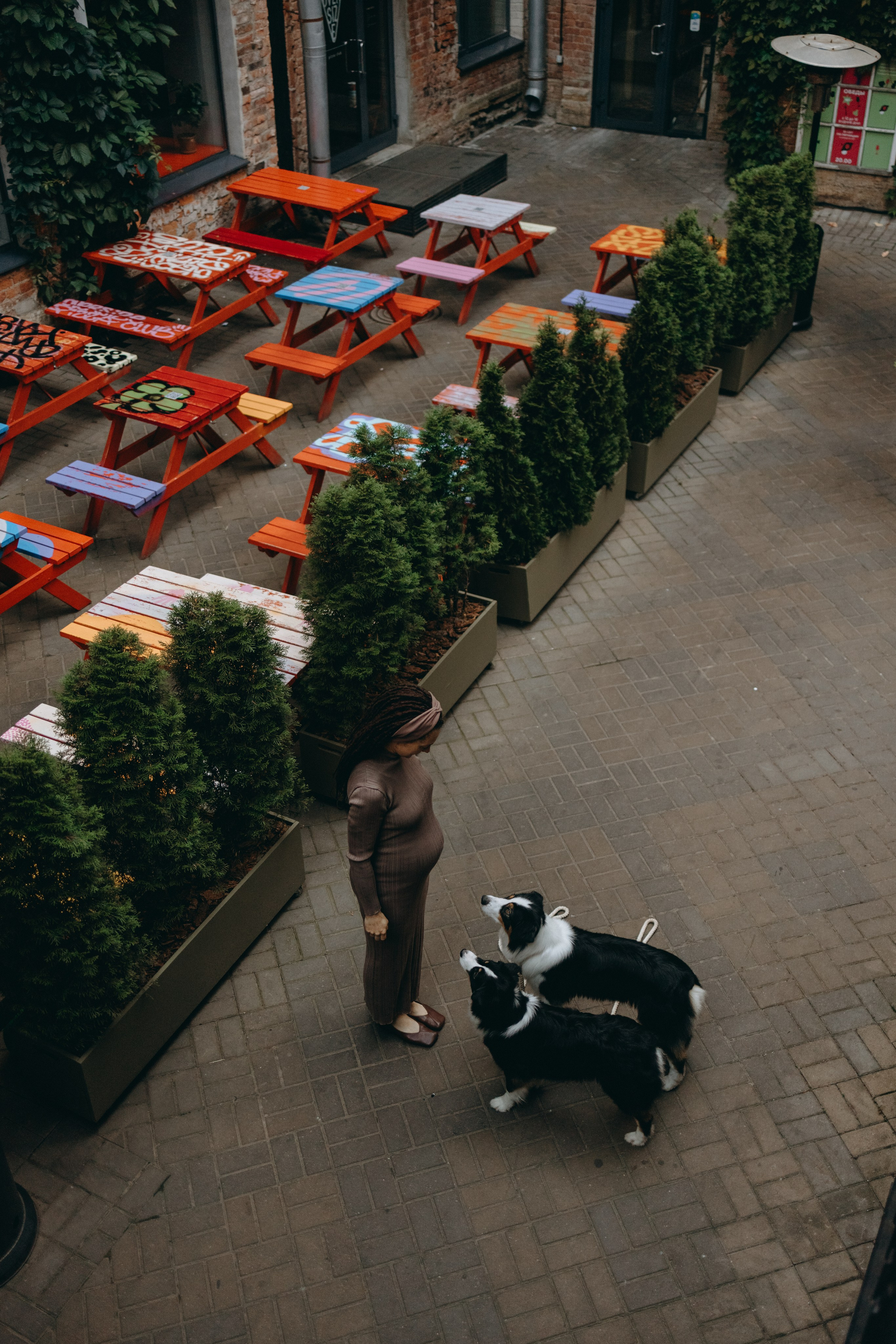 Катя и ее девочки. Фотограф — Анималист | Санкт-Петербург