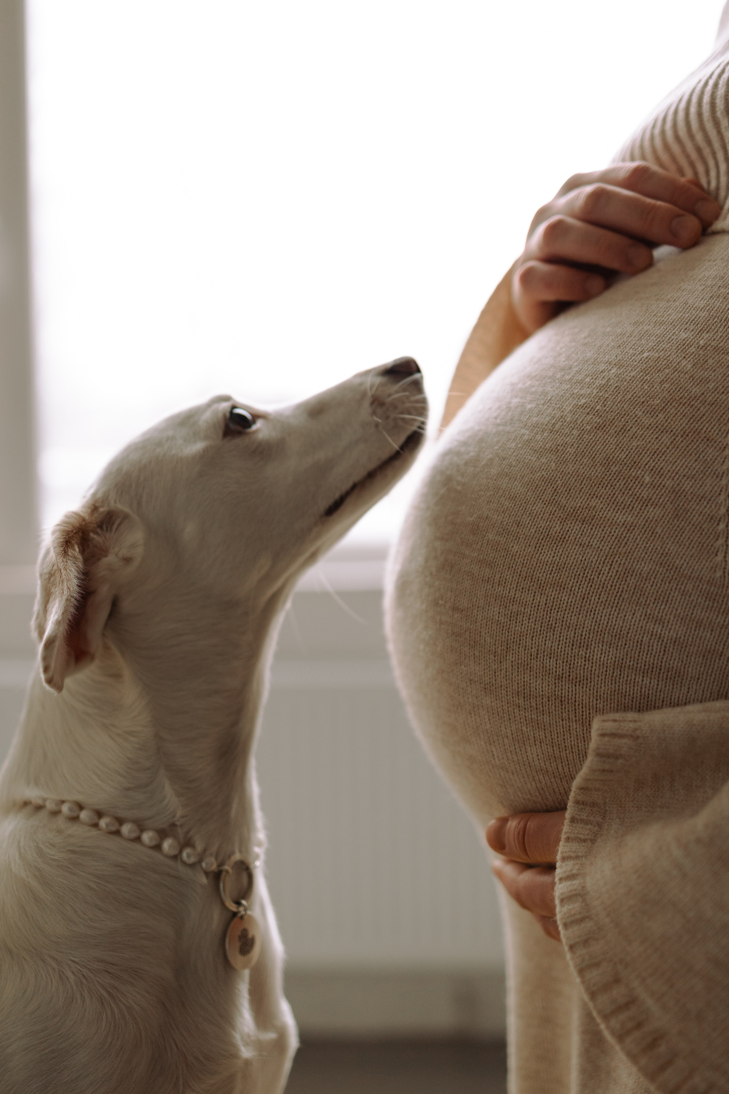 Луна и ее семья. Фотограф — Анималист | Санкт-Петербург