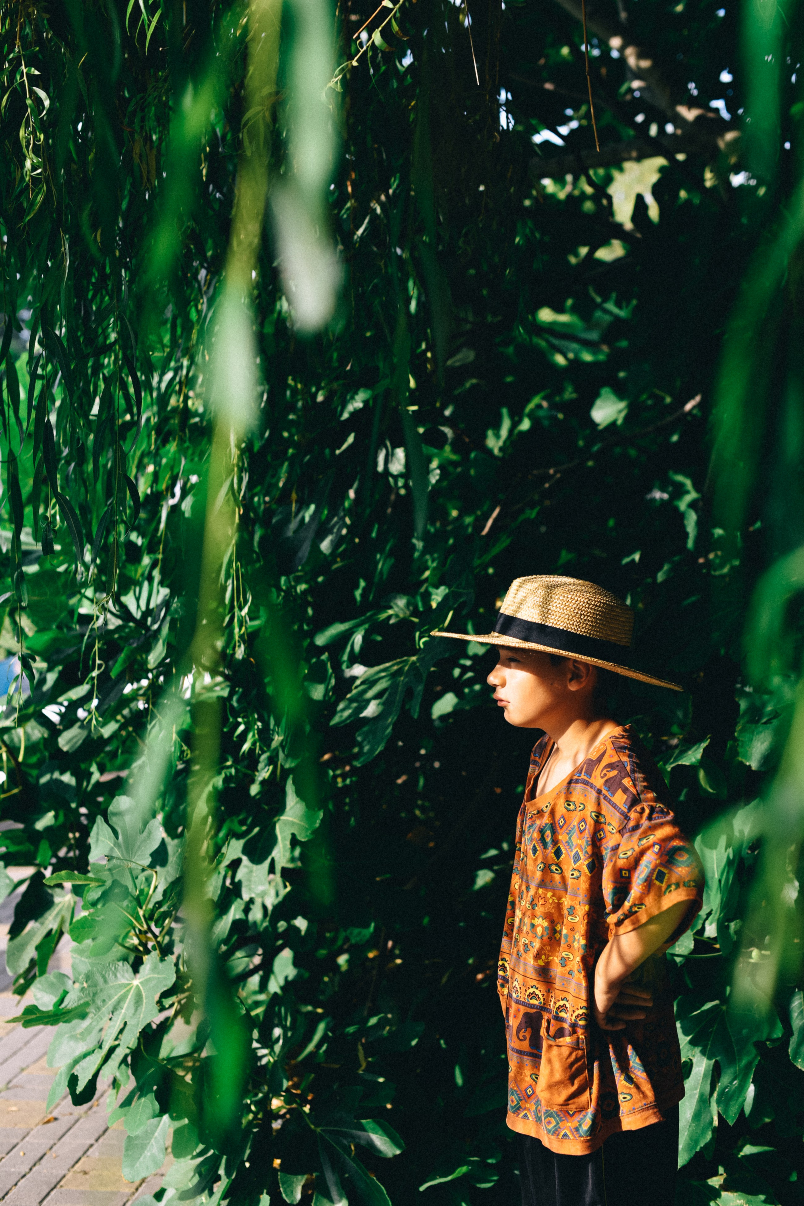 В ожидании Ван Гога