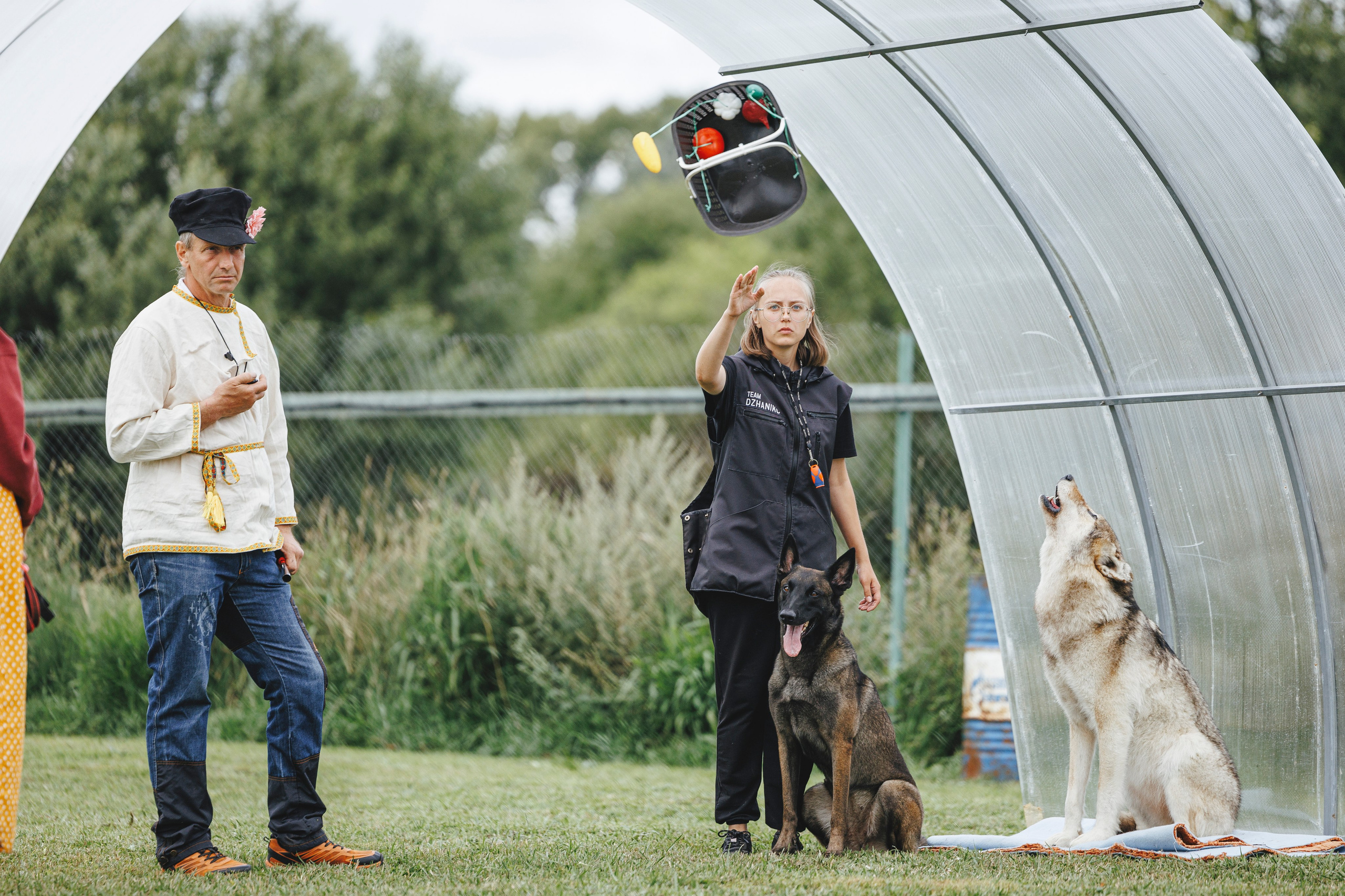 08.08.25-10.08.25 ЧР по мондьорингу г. Вологда. Фотограф-анималист Анна Маринич