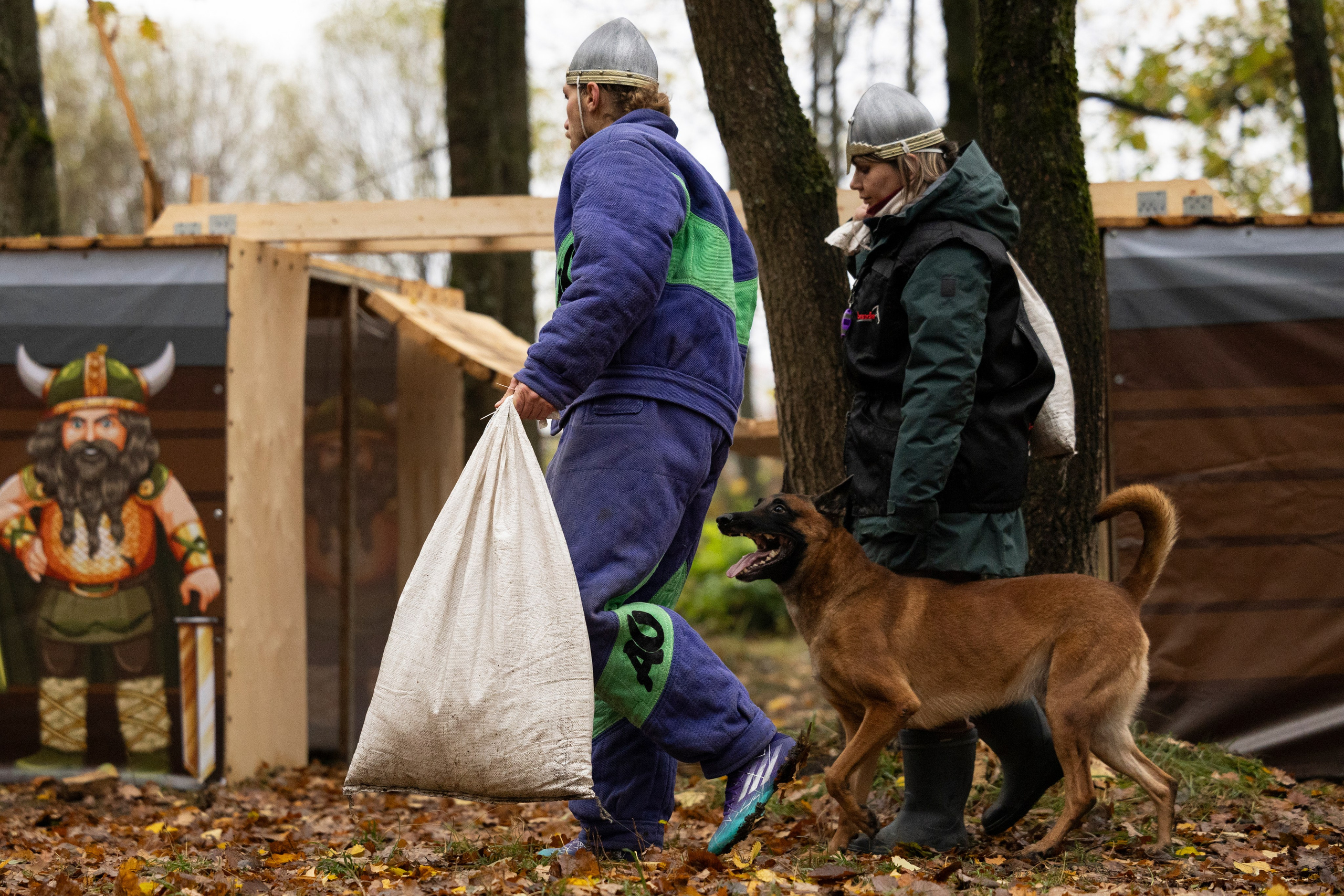 Соревнования по Мондьорингу г. Вологда. Фотограф-анималист Анна Маринич
