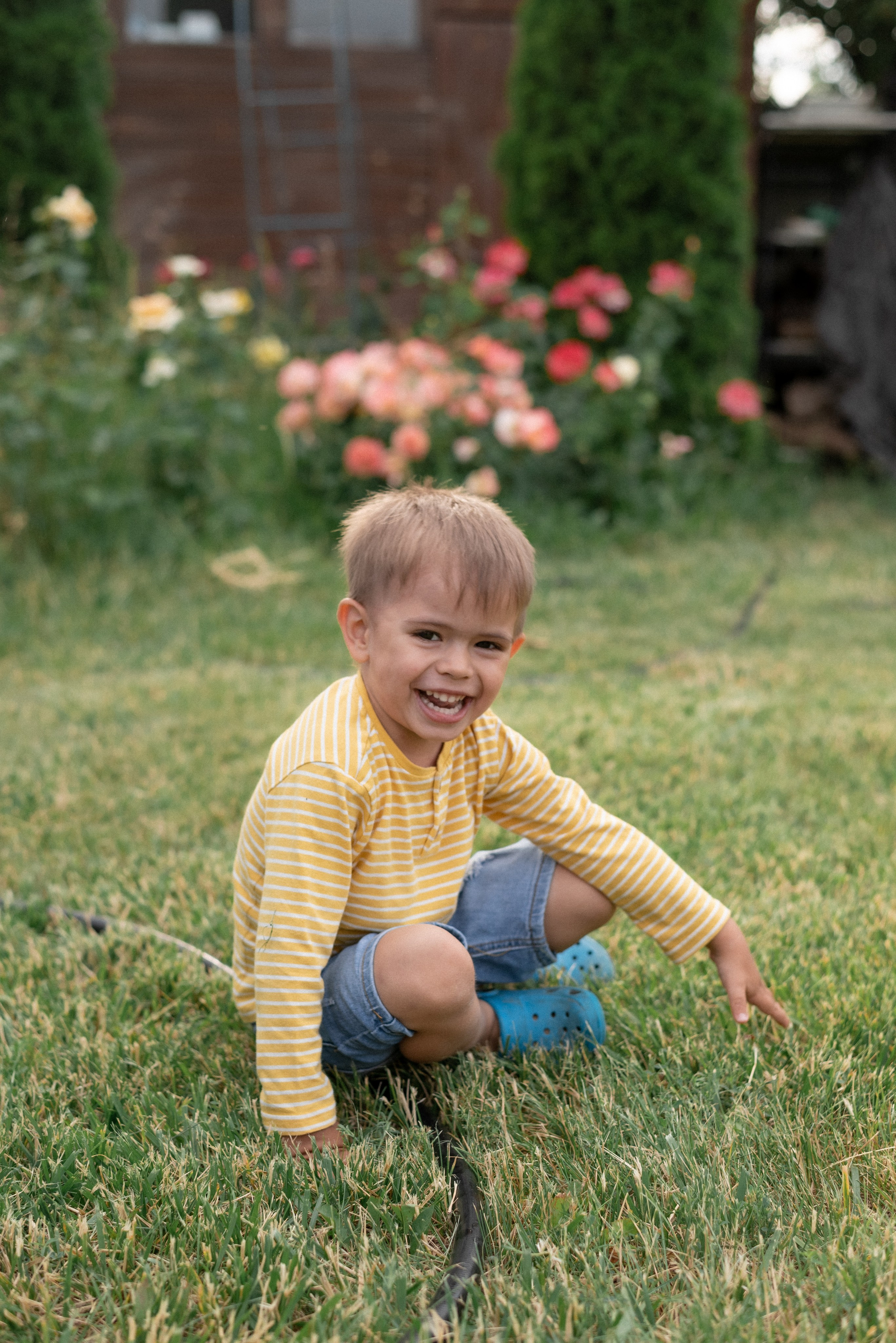 Дача. Семейный фотограф Ирина Сгибнева