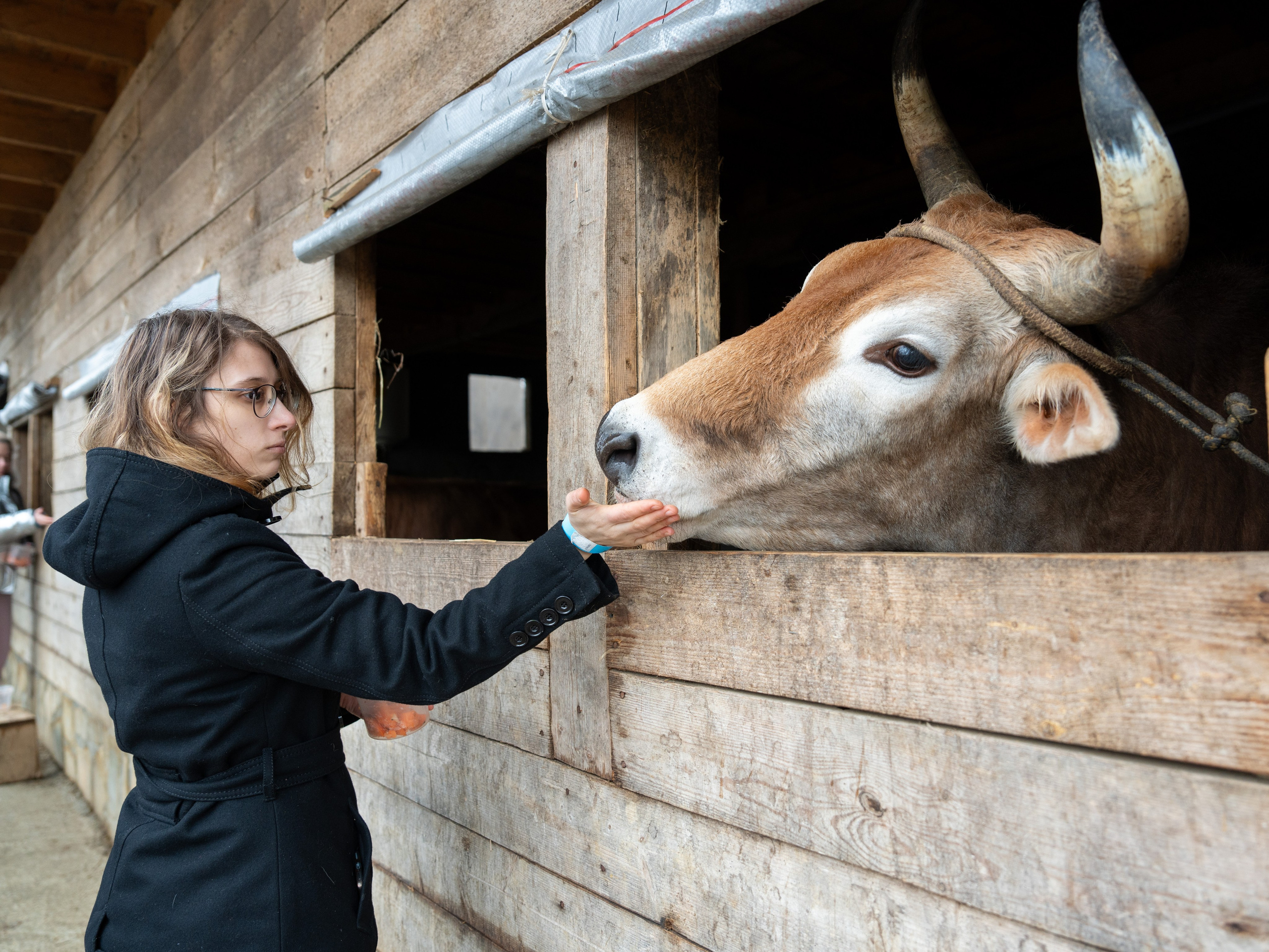 MICE мероприятие на ферме Экзархо. Репортажный фотограф в Красной Поляне и Сочи Павлюченко Екатерина
