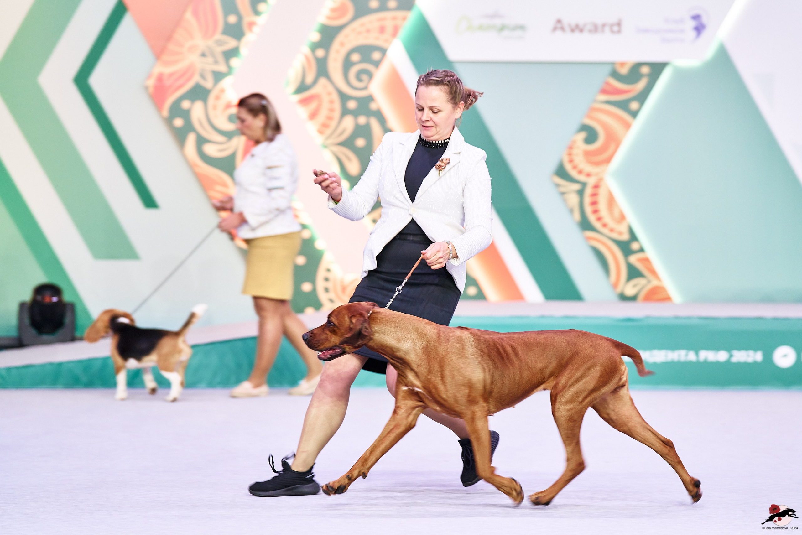 16.11.2024 «ЕВРАЗИЯ. КУБОК ПРЕЗИДЕНТА РКФ 2024»