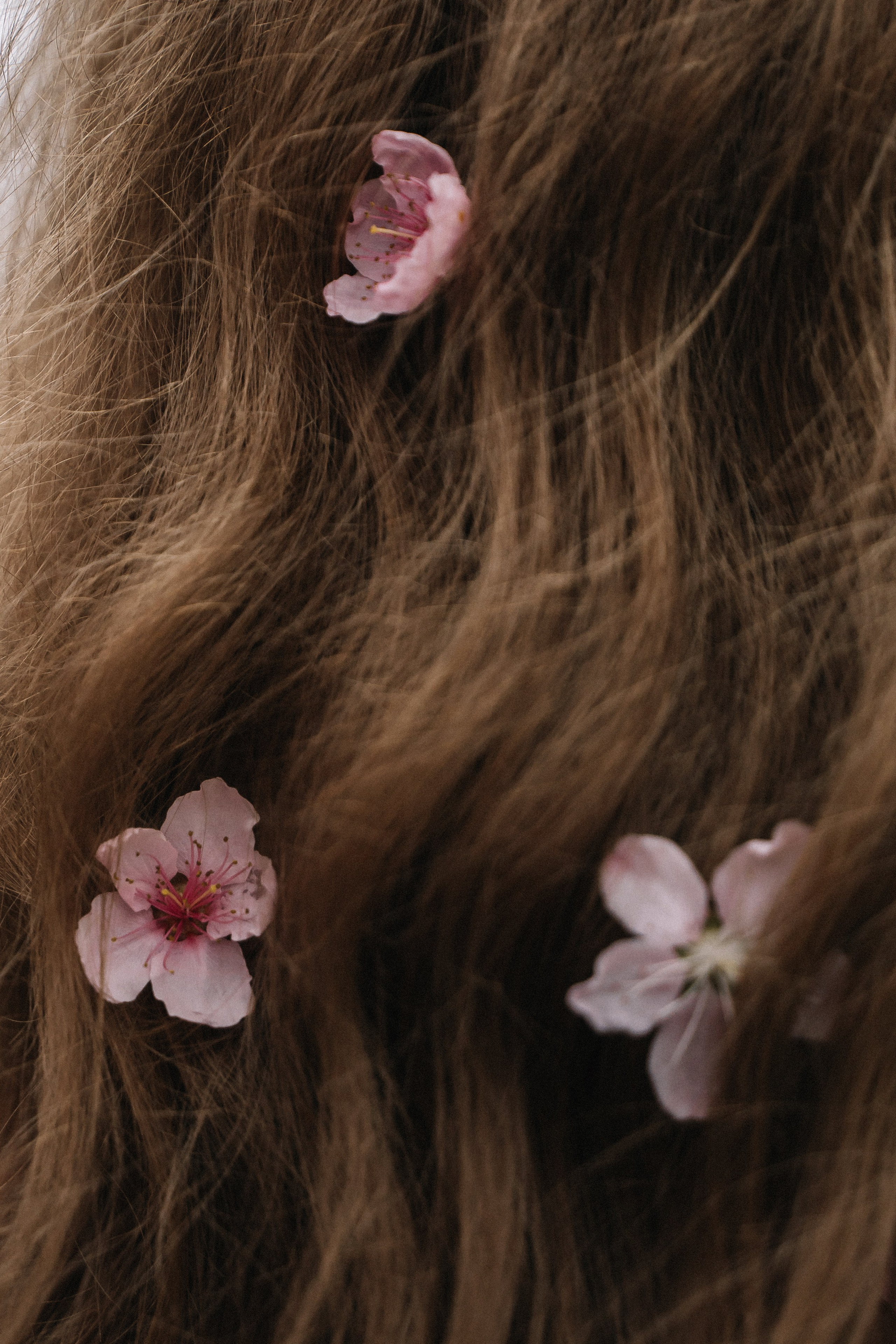 Анна. Татьяна Тагель