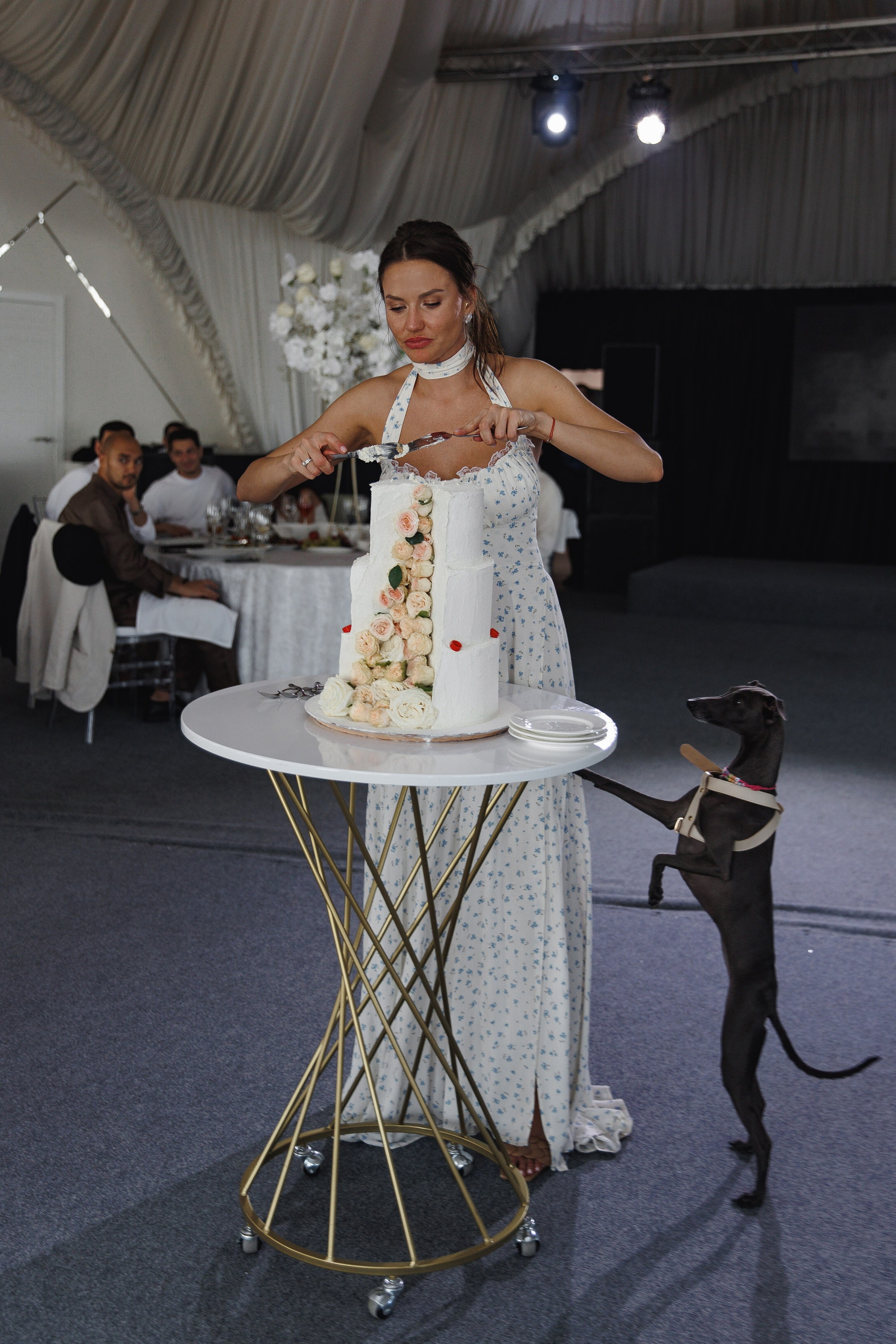 Арамаис и Камелия. Wedding photographer in St. Petersburg, Europe and Israel Anna Agafon