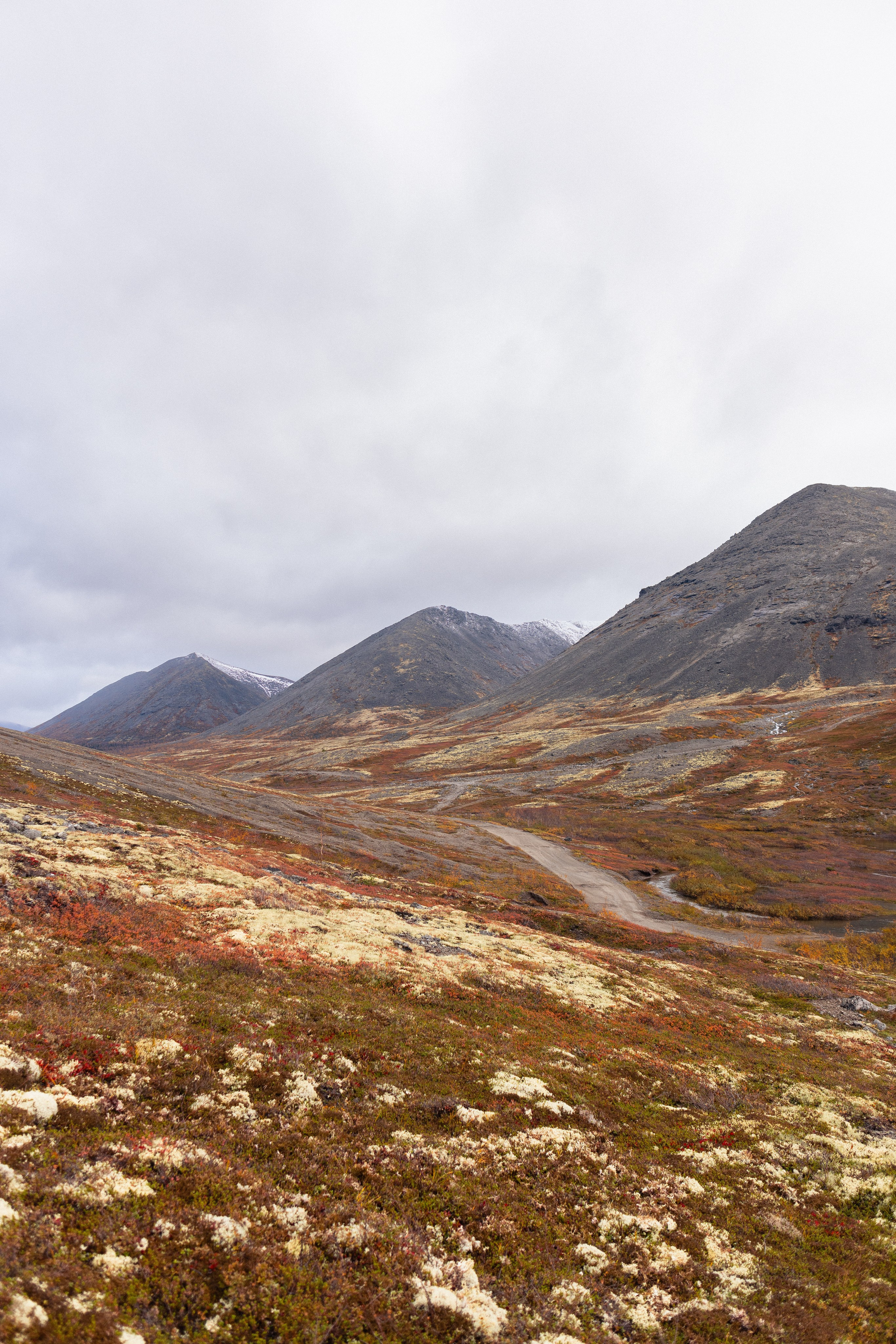 Кольский. Фотограф и видеограф анималист Аганина Дарья