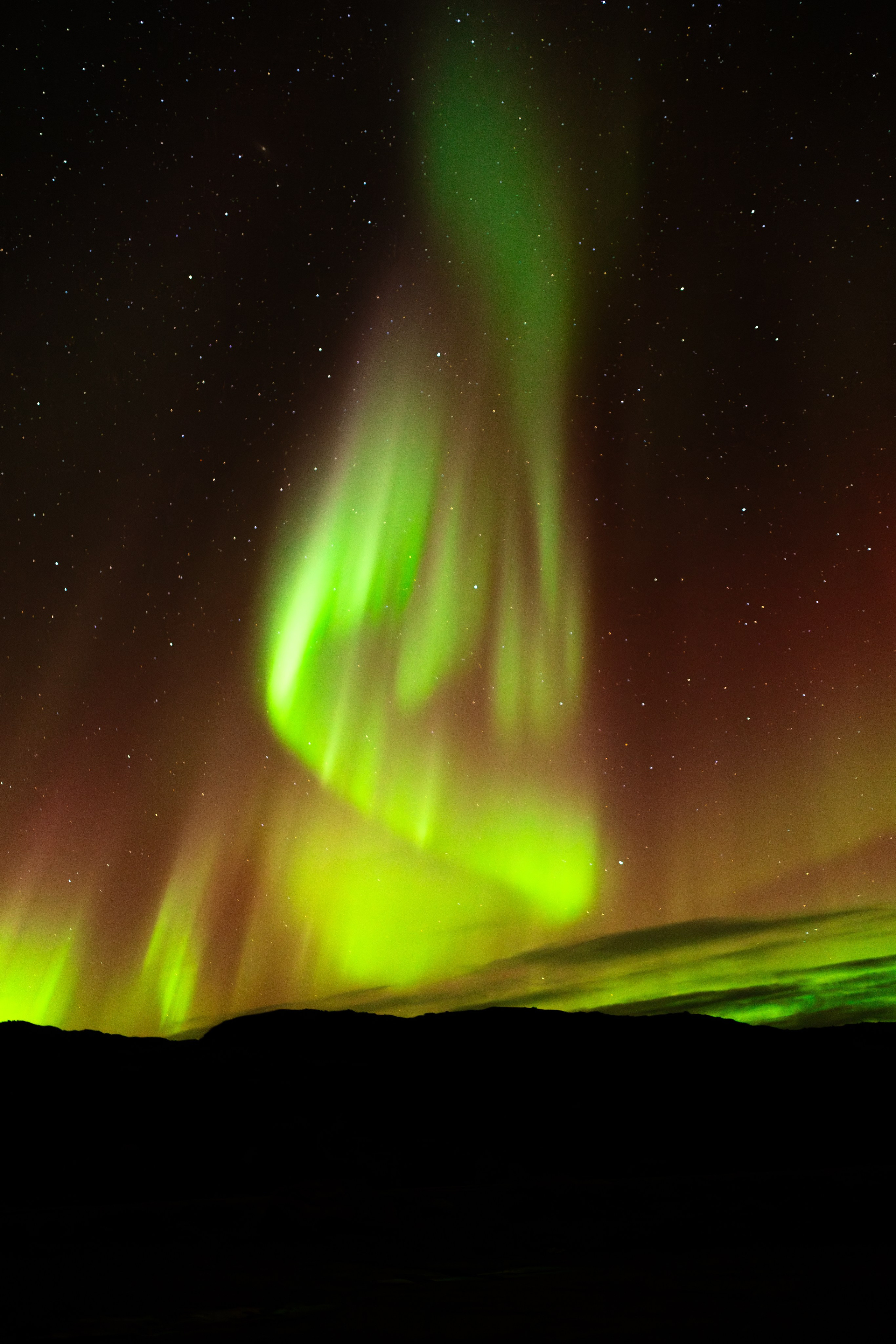 Кольский. Фотограф и видеограф анималист Аганина Дарья