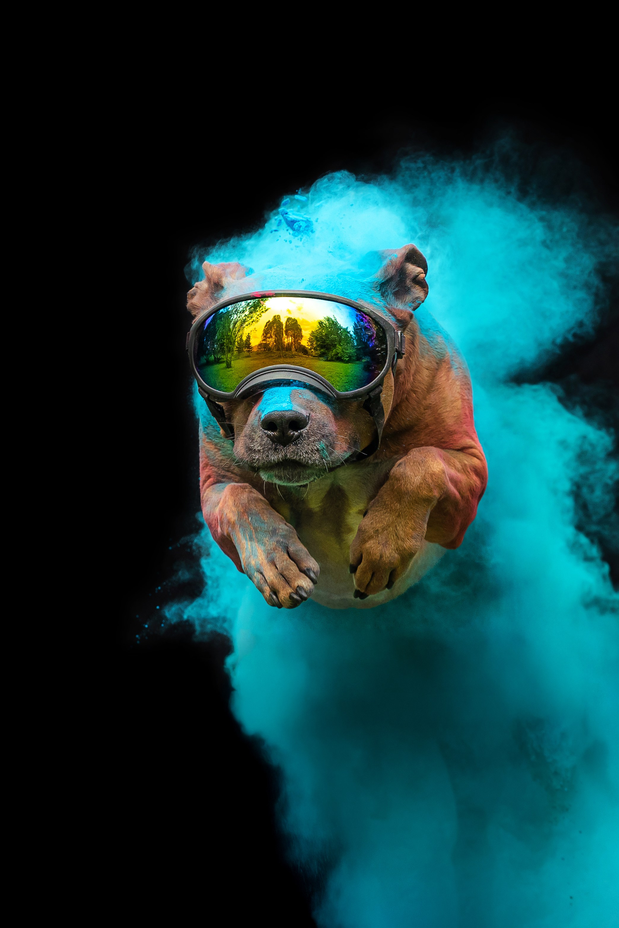 Батлер и Кэти