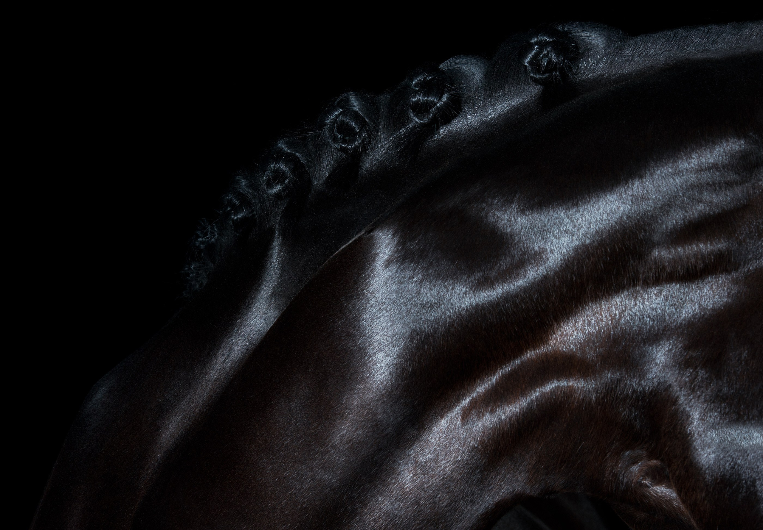HORSES. LUMEN DUO Art photography for interiors