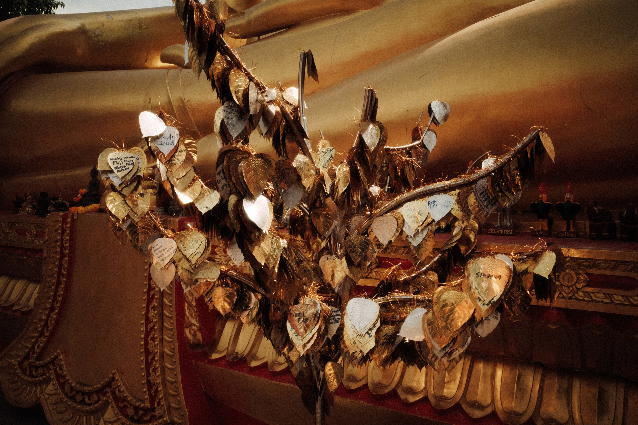 Тайланд плёнка. Свадебный фотограф в Спб Сергей Баланян