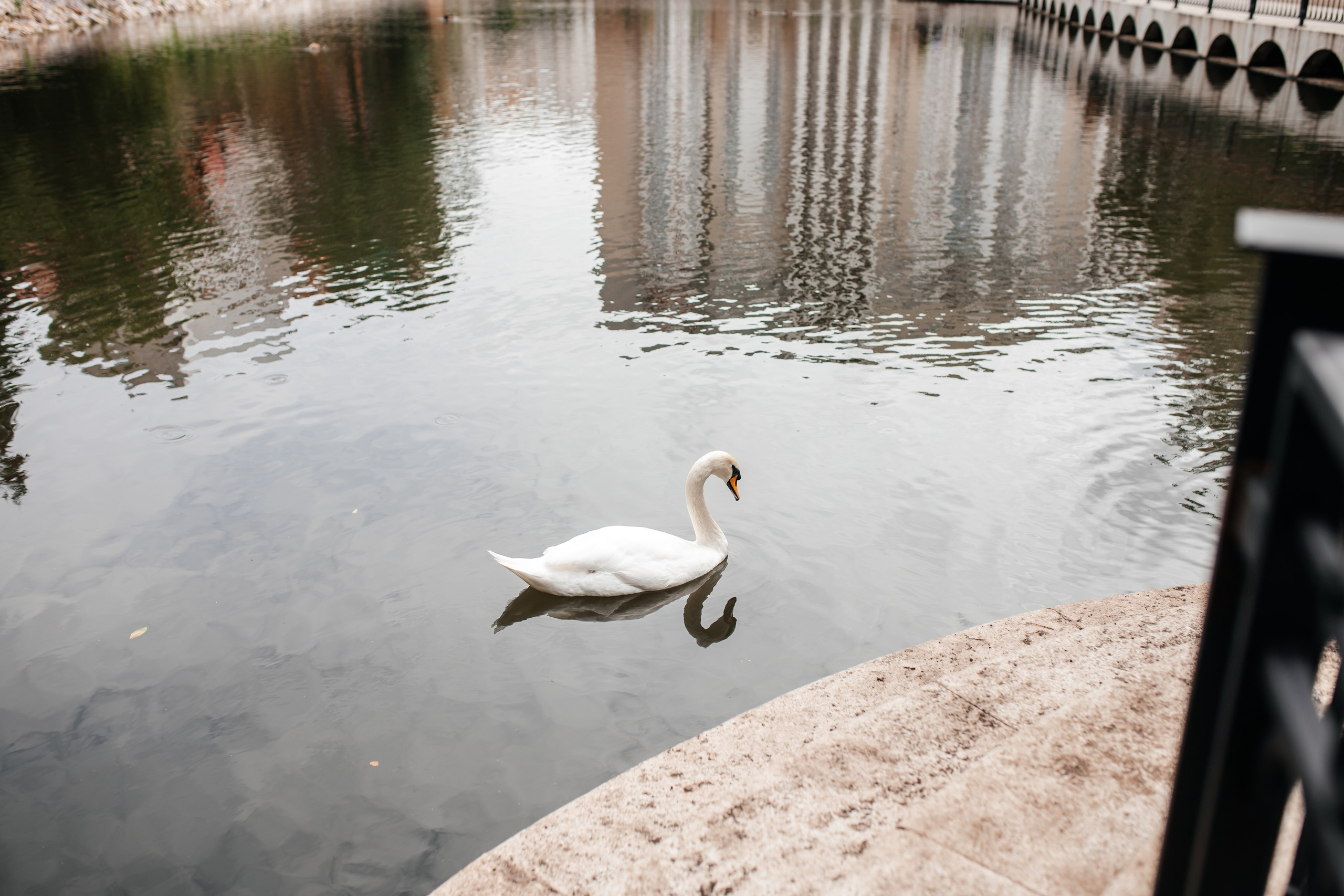 Артур и Ульяна. Марина Шаймухаметова. Фотограф в Уфе