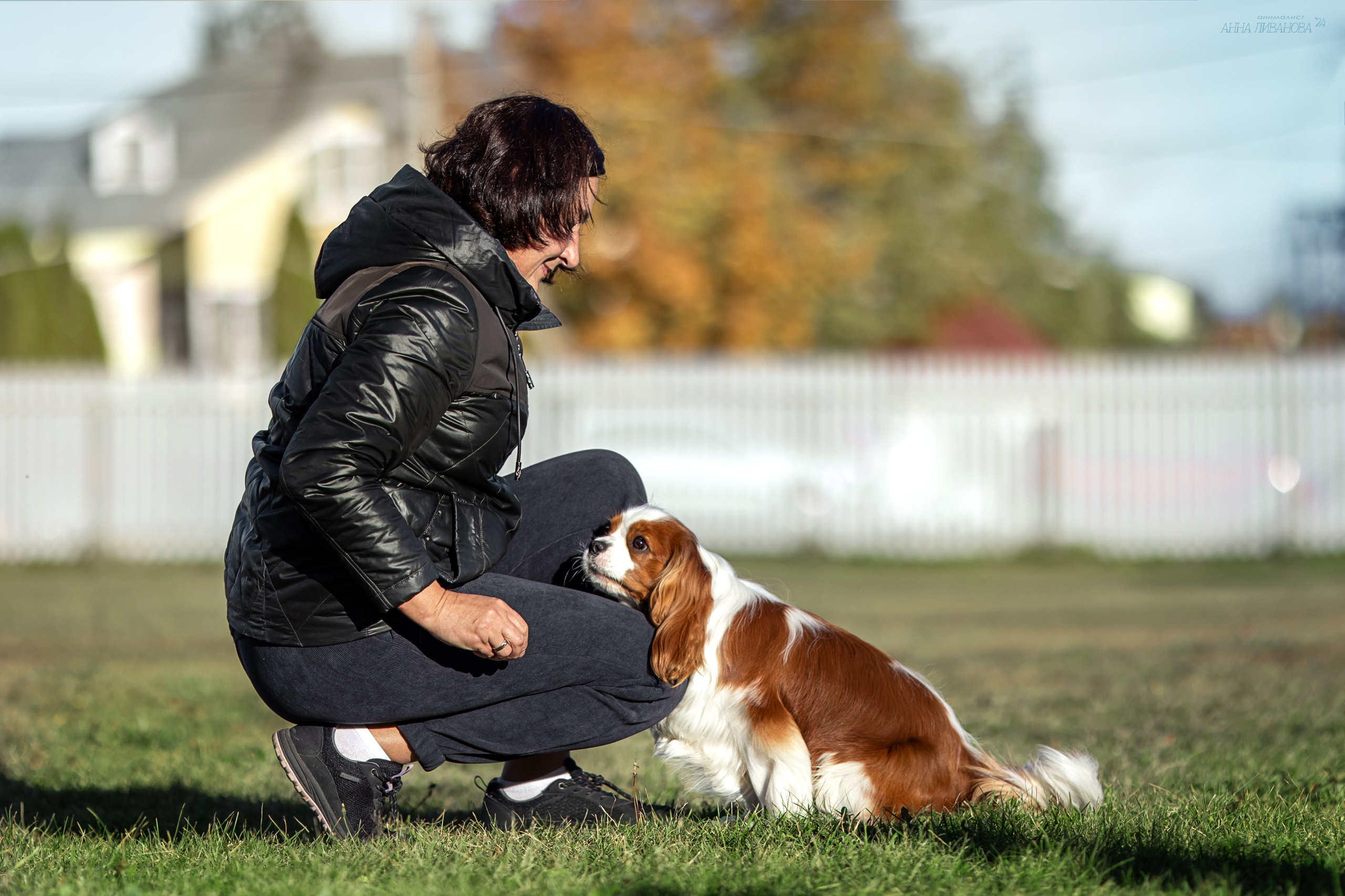 Кавалеры. Фотограф анималист Аня Ливанова | Рыбинск