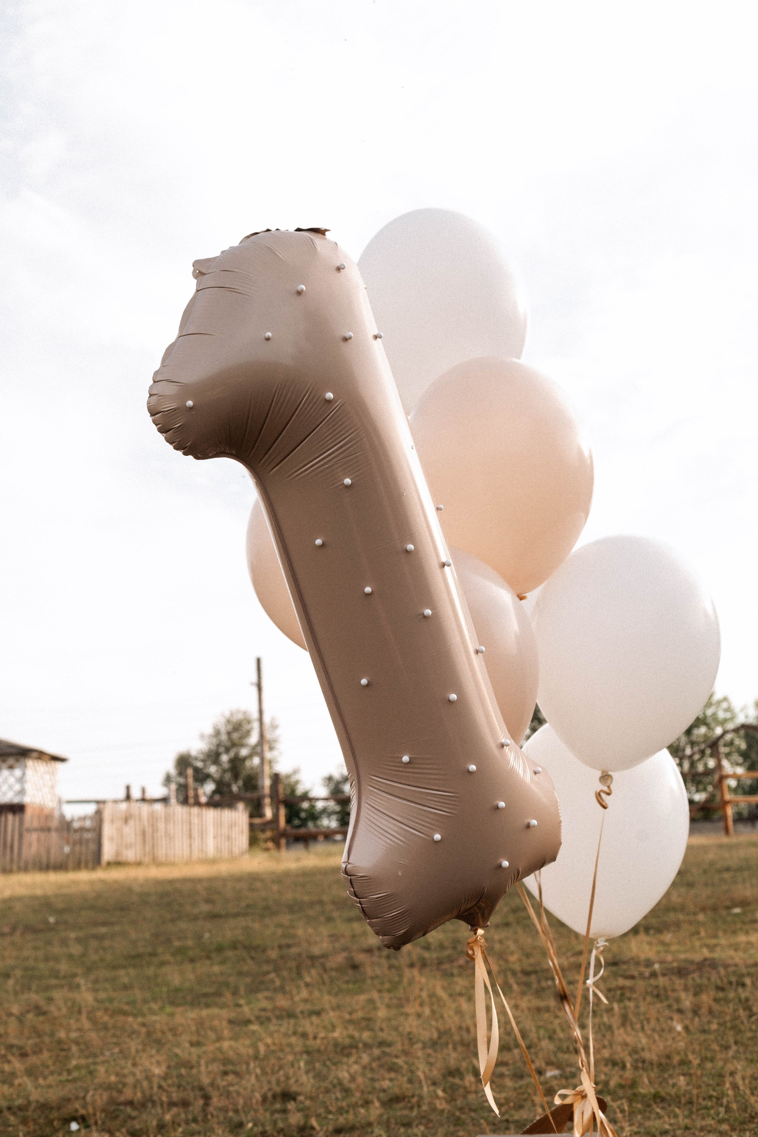 Годик Нине. Свадебный и портретный фотограф Соломко Диана