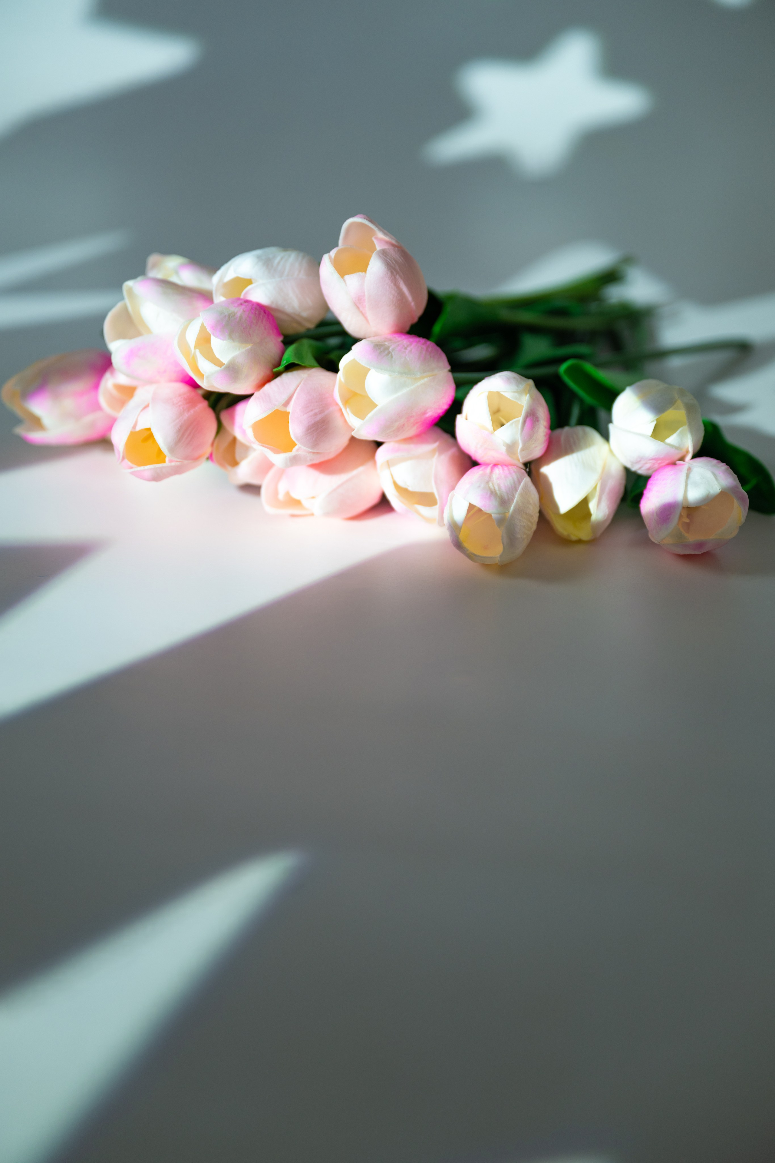 Студийные фотосессии. Студийный и свадебный фотограф и видеограф в Севастополе — Юлия Макаренко