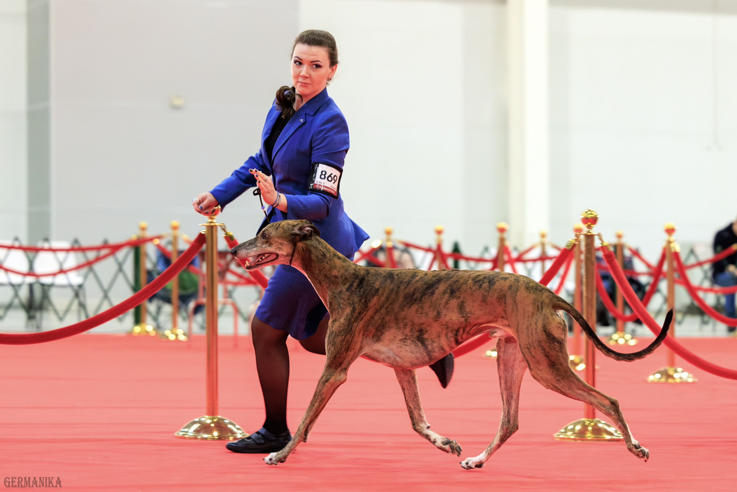 Лучшие Собаки России 17-18.02.2024. Фотограф-анималист Юлия Германика