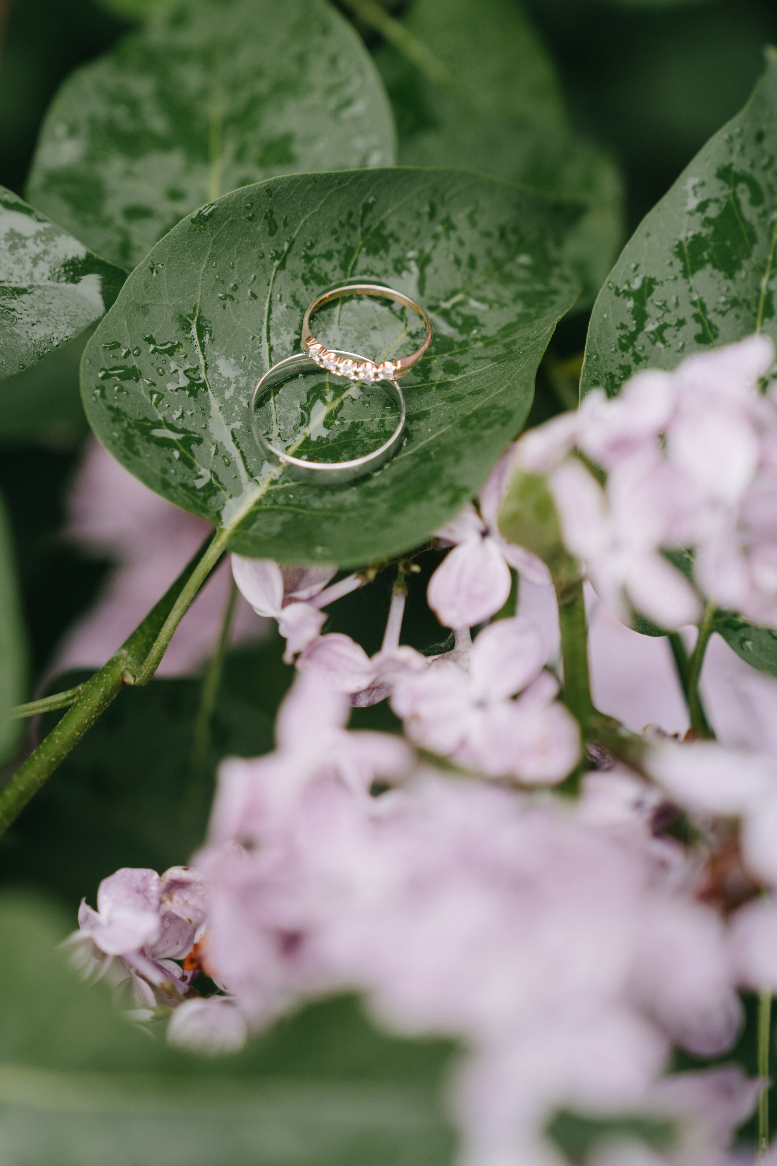 Ботанический сад. Свадебный фотограф Москва Александра Аверкова