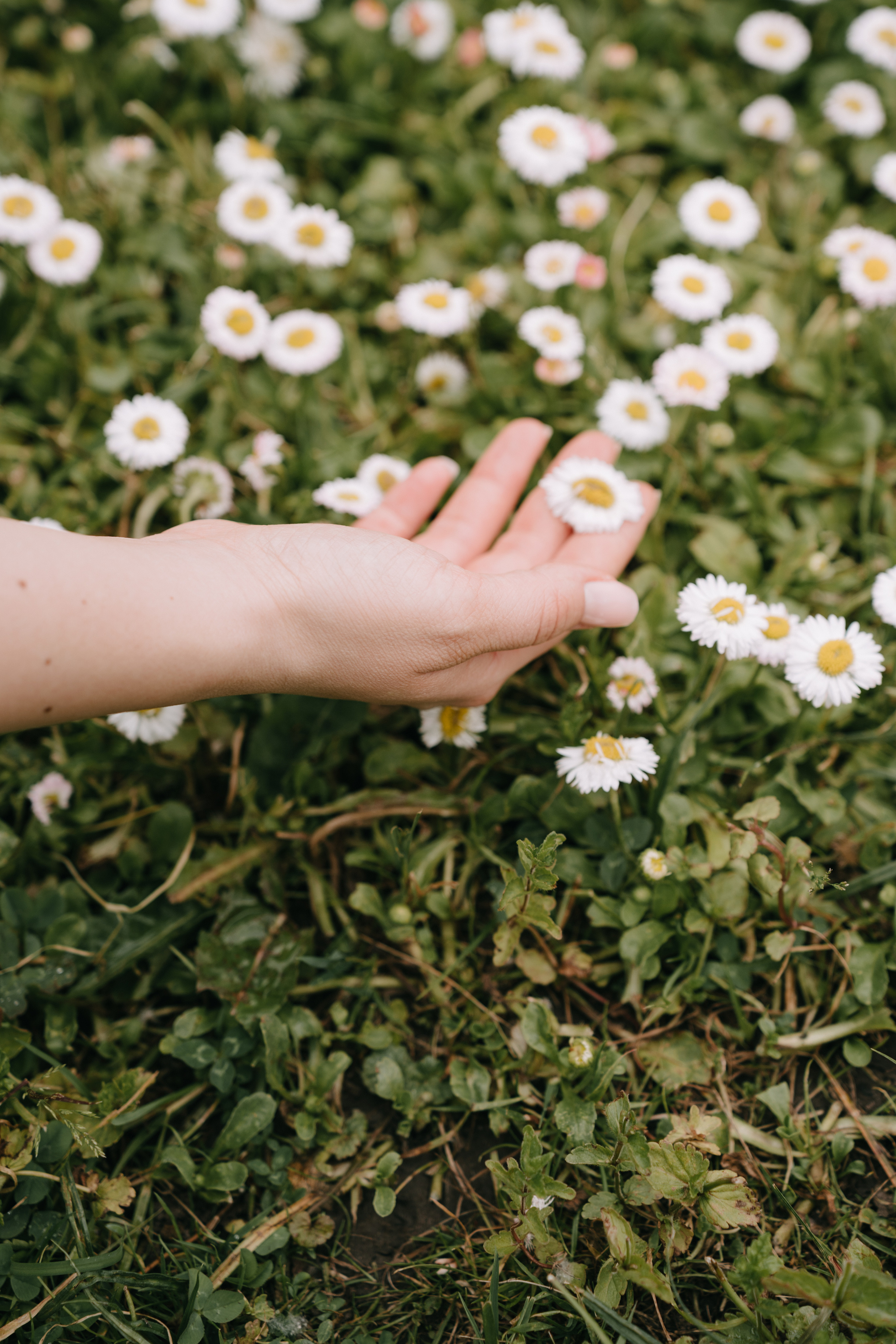Ботанический сад. Свадебный фотограф Москва Александра Аверкова