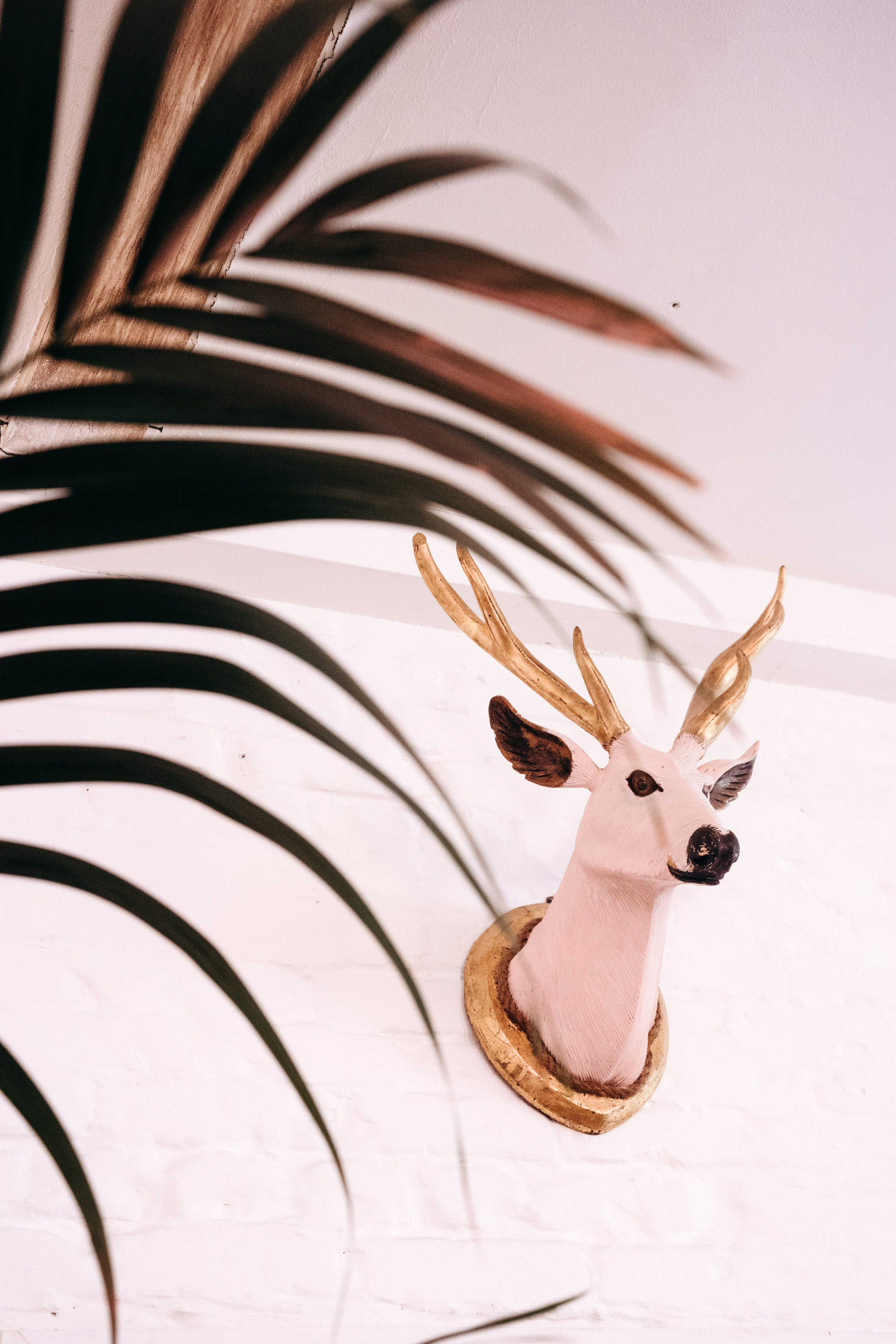 LOFT HALL, LOFT #3. Свадебный фотограф Москва Александра Аверкова