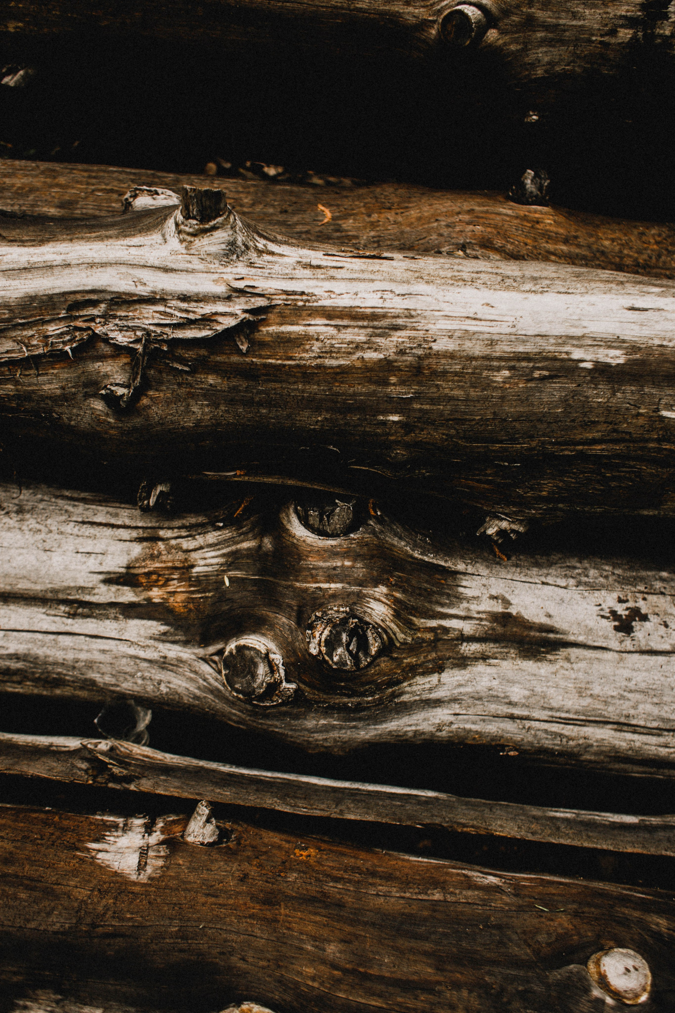 Надин Свети. Фотограф в Нижнем Новгороде