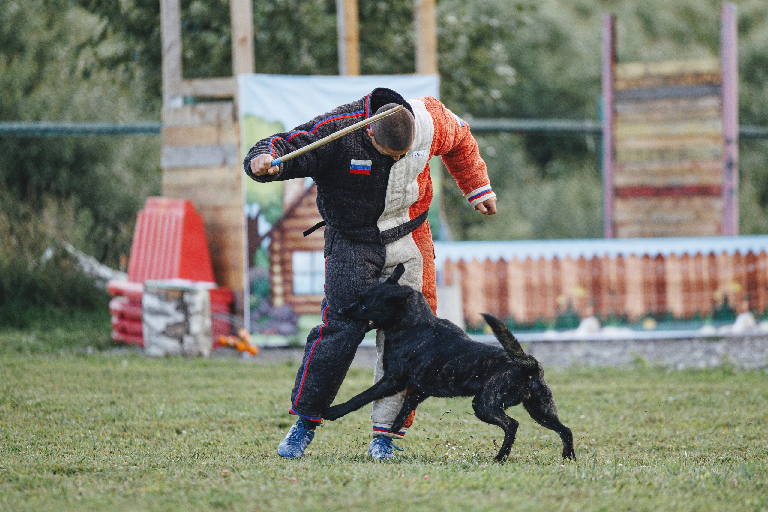 08.08.25-10.08.25 ЧР по мондьорингу г. Вологда. Фотограф-анималист Анна Маринич
