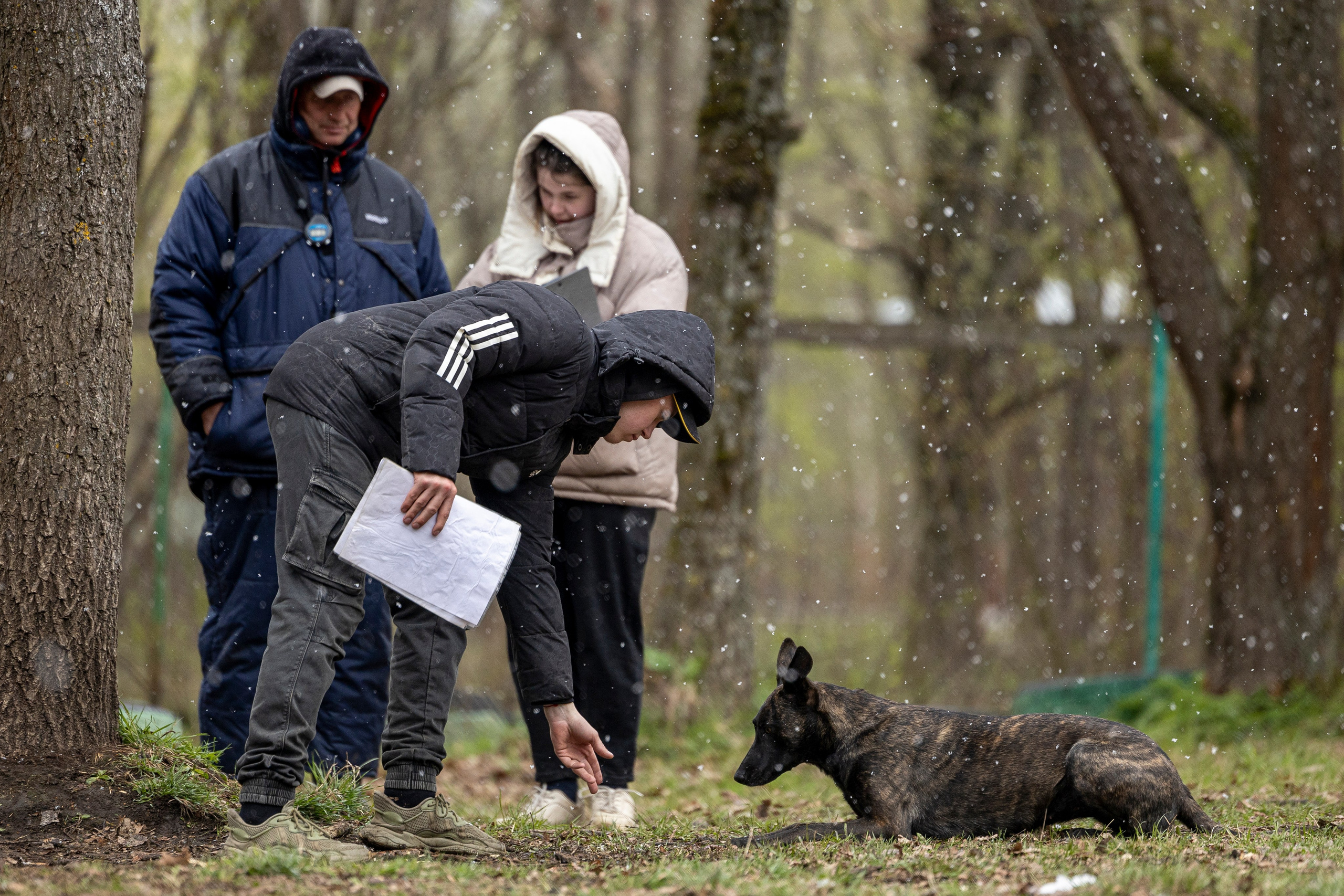 Квалификационные состязания по мондьорингу г. Вологда 11.05.24. Фотограф-анималист Анна Маринич